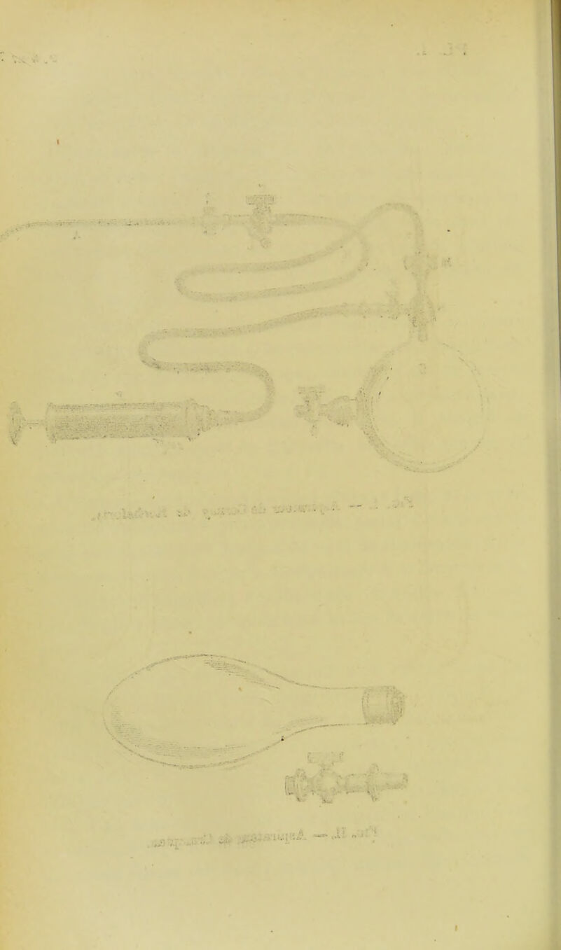 - - >; -r , WU’3 •• S •' : • . , ' - • . • *v ■ < y ■ ;« ! - * . ' •*< . ■ , ■■