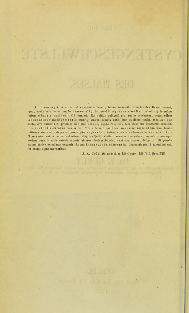 digitised image 2