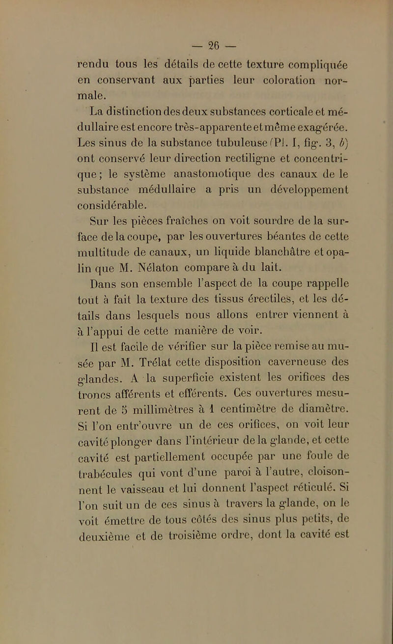 rendu tous les détails de cette texture compliquée en conservant aux parties leur coloration nor- male. La distinction des deux substances corticale et mé- dullaire est encore très-apparente et même exag’érée. Les sinus de la substance tubuleuse l'PJ. 1, fig'. 3, b) ont conservé leur direction rectilig’ne et concentri- que; le système anastomotique des canaux de le substance médullaire a pris un développement considérable. Sur les pièces fraîches on voit sourdre de la sur- face de la coupe, par les ouvertures béantes de cette multitude de canaux, un liquide blanchâtre et opa- lin que M. Nélaton compare à du lait. Dans son ensemble l’aspect de la coupe rappelle tout à fait la texture des tissus érectiles, et les dé- tails dans lesquels nous allons entrer viennent à à l’appui de cette manière de voir. Il est facile de vérifier sur la pièce remise au mu- sée par M. Trélat cette disposition caverneuse des grandes. A la superficie existent les orifices des troncs afférents et efférents. Ces ouvertures mesu- rent de 5 millimètres à 1 centimètre de diamètre. Si l’on entr’ouvre un de ces orifices, on voit leur cavité plonger dans l’intérieur delà glande, et cette cavité est partiellement occupée par une foule de trabécules qui vont d’une paroi à l’autre, cloison- nent le vaisseau et lui donnent l’aspect réticulé. Si l’on suit un de ces sinus à travers la glande, on le voit émettre de tous côtés des sinus plus petits, de deuxième et de troisième ordre, dont la cavité est