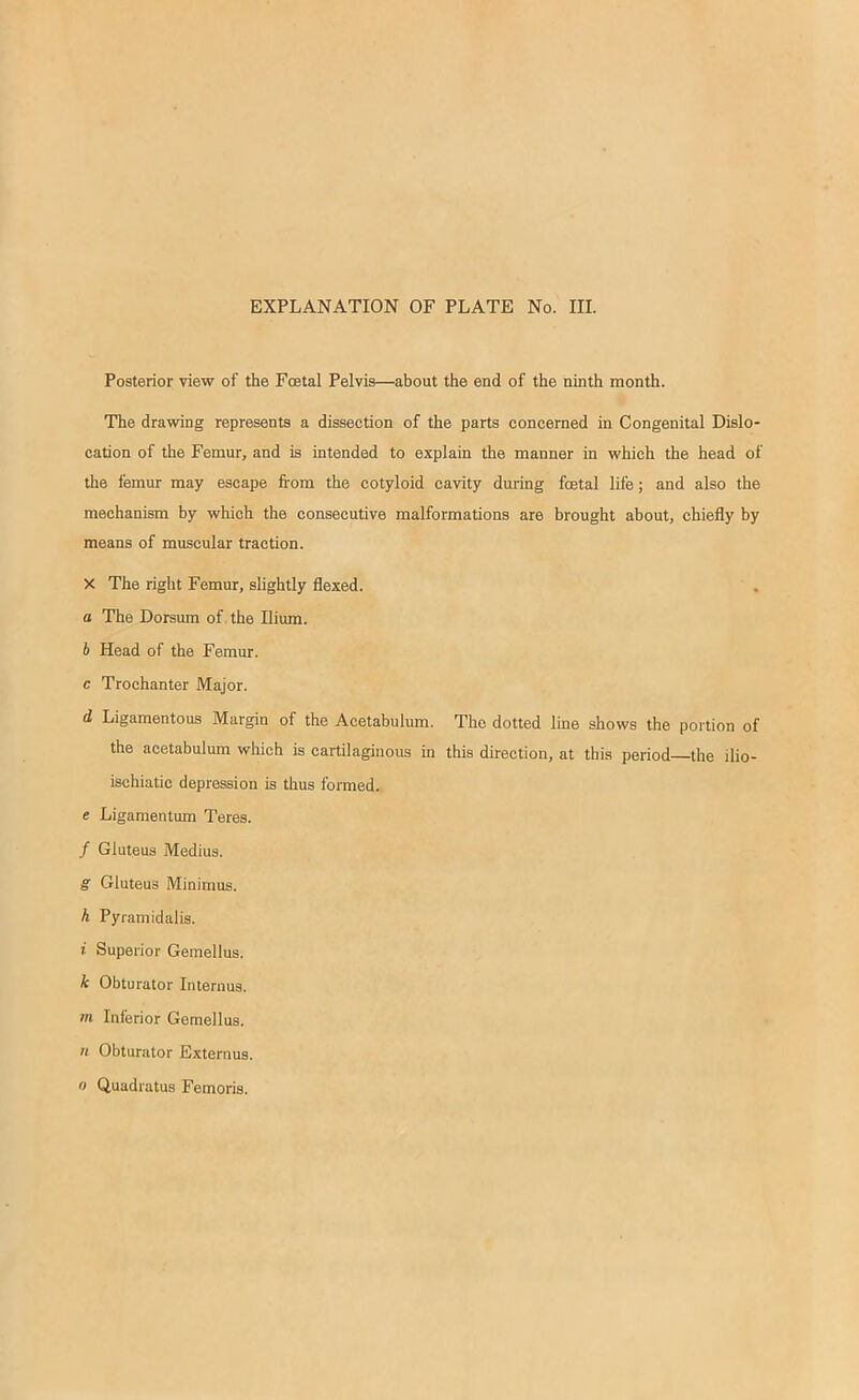 EXPLANATION OF PLATE No. III. Posterior view of the Foetal Pelvis—about the end of the ninth month. The drawing represents a dissection of the parts concerned in Congenital Dislo- cation of the Femur, and is intended to explain the manner in which the head of the femur may escape from the cotyloid cavity during foetal life; and also the mechanism by which the consecutive malformations are brought about, chiefly by means of muscular traction. X The right Femur, slightly flexed. a The Dorsum of the Ilium. 6 Head of the Femur. c Trochanter Major. d Ligamentous Margin of the Acetabulum, the acetabulum which is cartilaginous in ischiatic depression is thus formed. e Ligamentum Teres. / Gluteus Medius. ff Gluteus Minimus. A Pyramidalis. i Superior Gemellus. A Obturator Interims. m Inferior Gemellus, n Obturator Externus. o Quadratus Femoris. The dotted line shows the portion of this direction, at this period—the ilio-