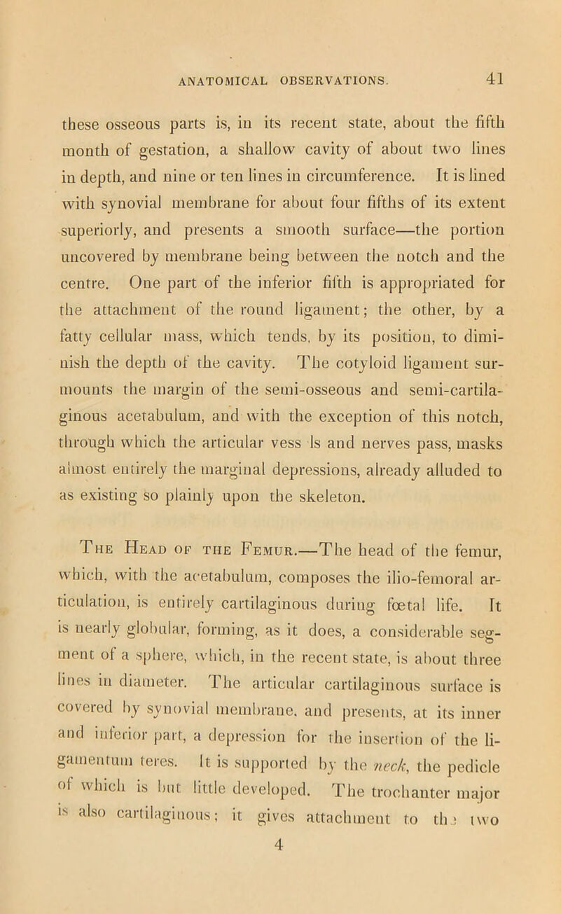 these osseous parts is, in its recent state, about the fifth month of gestation, a shallow cavity of about two lines in depth, and nine or ten lines in circumference. It is lined with synovial membrane for about four fifths of its extent superiorly, and presents a smooth surface—the portion uncovered by membrane being between the notch and the centre. One part of the inferior fifth is appropriated for the attachment of the round ligament; the other, by a fatty cellular mass, which tends, by its position, to dimi- nish the depth of the cavity. The cotyloid ligament sur- mounts the margin of the semi-osseous and semi-cartila- ginous acetabulum, and with the exception of this notch, through which the articular vess Is and nerves pass, masks almost entirely the marginal depressions, already alluded to as existing so plainly upon the skeleton. The Head of the Femur.—The head of the femur, which, with the acetabulum, composes the ilio-femoral ar- ticulation, is entirely cartilaginous during foetal life. It is nearly globular, forming, as it does, a considerable seg- ment of a sphere, which, in the recent state, is about three lines in diameter. The articular cartilaginous surface is covered by synovial membrane, and presents, at its inner and interior jiart, a dejiression for the insertion of the li- gainentum teres. It is supported by the neck., the pedicle of which IS but little developed. The trochanter major IS also cartilaginous; it gives attachment to the two 4