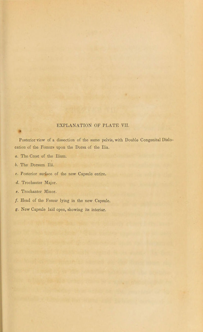 (• Posterior view of a dissection of the same pelvis, -with Double Congenital Dislo- cation of the Femurs upon the Dorsa of the Ilia. o. The Crest of the Ilium. 6. The Dorsum Ilii. c. Posterior surface of the new Capsule entire. d. Trochanter Major. e. Trochanter Minor. /. Head of the Femur lying in the new Capsule. g. New Capsule laid open, showing its interior.