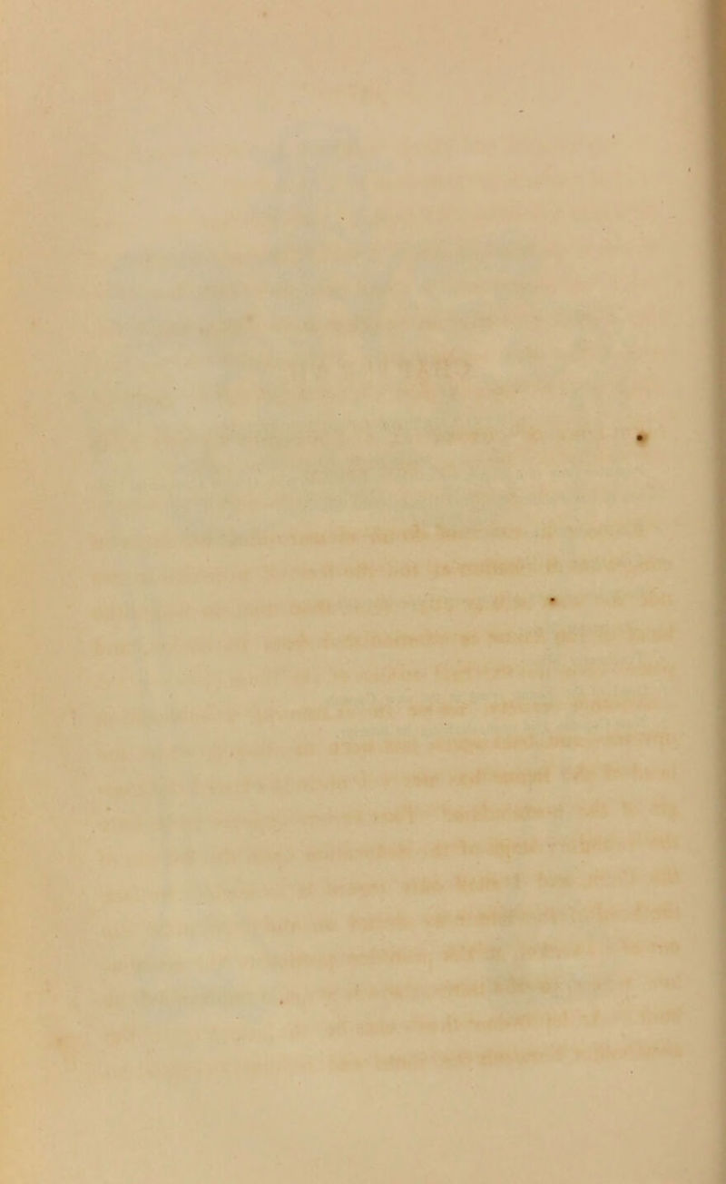 . ■».-» ^ V i' :i ',. . 1 f. .< ‘-t • > :'t r ^ V'' £- •:, / .Mf* f . a '■> r'>-' ■ ’' I '5 » • M ' r U>': . : '•• •' i*.- ' • ..v.3%i: ^^1- Vt,- V < V '•:■ ?l'. ^ iiJr ■Vt-:V*J^ V .'■■• -i..- ^s'*s ■, ^m ^