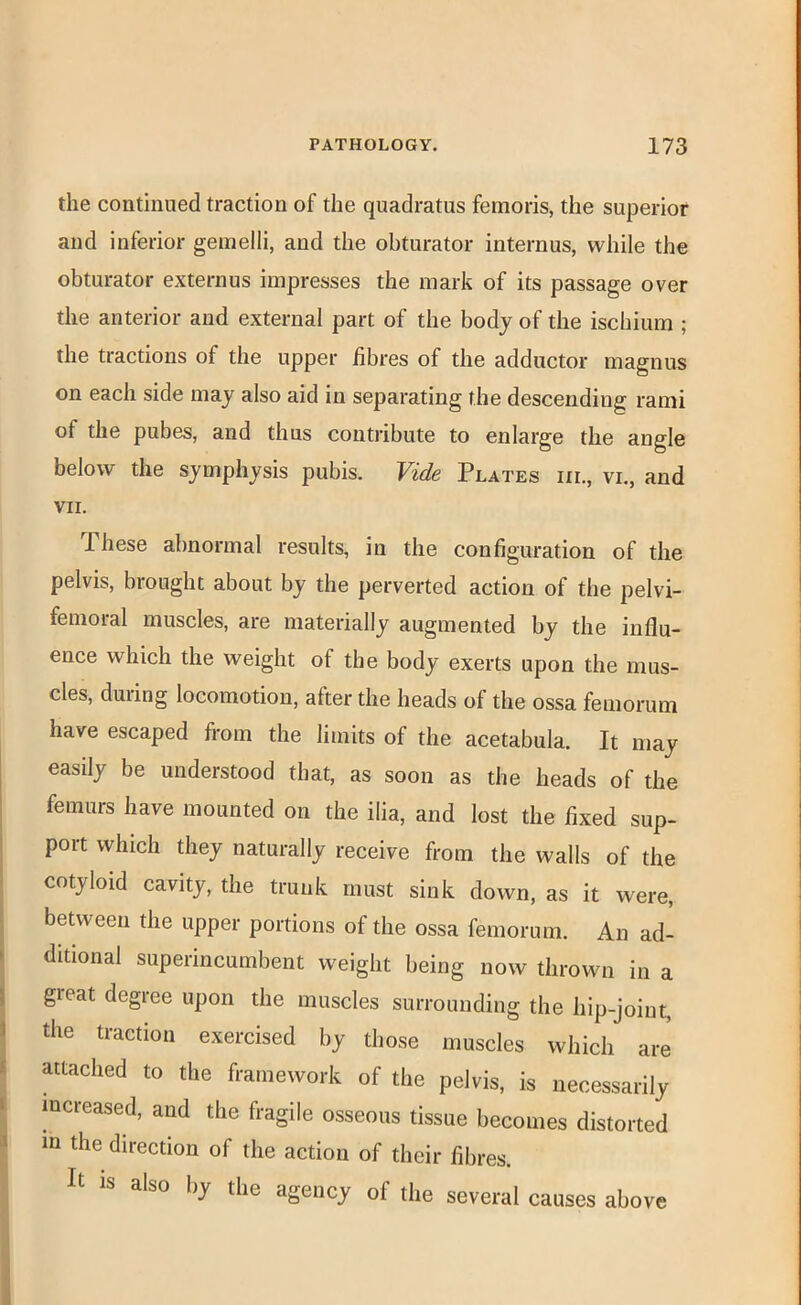 the continued traction of the quadratus femoris, the superior and inferior gemelli, and the obturator internus, while the obturator externus impresses the mark of its passage over the anterior and external part of the body of the ischium ; the tractions of the upper fibres of the adductor magnus on each side may also aid in separating the descending rami of the pubes, and thus contribute to enlarge the angle below the symphysis pubis. Vide Plates iil, vi., and VII. These abnormal results, in the configuration of the pelvis, brought about by the perverted action of the pelvi- femoral muscles, are materially augmented by the influ- ence which the weight of the body exerts upon the mus- cles, during locomotion, after the heads of the ossa femorum have escaped from the limits of the acetabula. It may easily be understood that, as soon as the heads of the femurs have mounted on the ilia, and lost the fixed sup- port which they naturally receive from the walls of the cotyloid cavity, the trunk must sink down, as it were, between the upper portions of the ossa femorum. An ad- ditional superincumbent weight being now thrown in a j great degree upon the muscles surrounding the hip-joint, I the traction exercised by those muscles which are attached to the framework of the pelvis, is necessarily I increased, and the fragile osseous tissue becomes distorted 5 m the direction of the action of their fibres. V It IS also by the agency of the several causes above