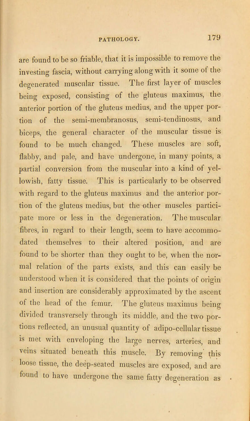 are found to be so friable, that it is impossible to remove the investing fascia, without carrying along with it some ot the degenerated muscular tissue. The first layer of muscles O being exposed, consisting of the gluteus maximus, the anterior portion of the gluteus medius, and the upper por- tion of the semi-membranosus, semi-tendinosus, and biceps, the general character of the muscular tissue is found to be much changed. These muscles are soft, flabby, and pale, and have undergone, in many points, a partial conversion from the muscular into a kind of yel- lowish, fatty tissue. This is particularly to be observed with regard to the gluteus maximus and the anterior por- tion of the gluteus medius, but tlie ether muscles partici- pate more or less in the degeneration. The muscular fibres, in regard to their length, seem to have accommo- dated themselves to their altered position, and are found to be shorter than they ought to be, when the nor- mal relation of the parts exists, and this can easily be understood when it is considered that the points of origin and insertion are considerably approximated by the ascent of the head of the femur. The gluteus maximus being divided transvei’sely through its middle, and the two por- tions reflected, an unusual quantity of adipo-cellular tissue is met with enveloping the large nerves, arteries, and veins situated beneath this muscle. By removing this loose tissue, the deep-seated muscles are exposed, and are found to have undergone the same fatty degeneration as