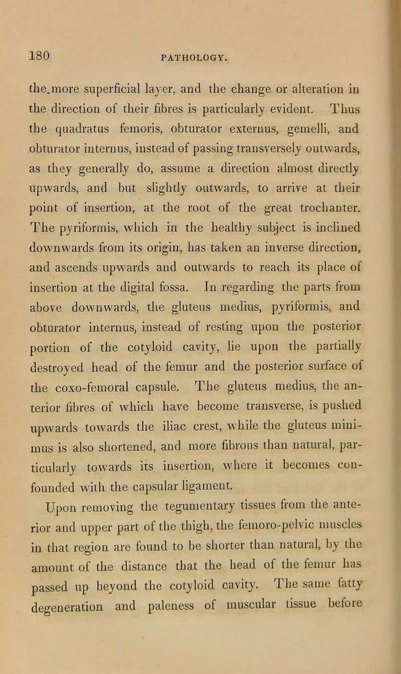 the,more superficial layer, and the change or alteration in the direction of their fibres is particularly evident. Thus the quadratus femoris, obturator externus, gemelli, and obturator internus, instead of passing transversely outwards, as they generally do, assume a direction almost directly upwards, and but slightly outwards, to arrive at their point of insertion, at the root of the great trochanter. The pyriformis, which in the healthy subject is inclined downwards from its origin, has taken an inverse direction, and ascends upwards and outwards to reach its place of insertion at the digital fossa. In regarding the parts from above downwards, the gluteus medius, pyriformis, and obturator internus, instead of resting upon the posterior portion of the cotyloid cavity, lie upon the partially destroyed head of the femur and the posterior surface of the coxo-femoral capsule. The gluteus medius, the an- terior fibres of which have become transverse, is pushed upwards towards the iliac crest, while the gluteus mini- mus is also shortened, and more fibrous than natural, par- ticularly towards its insertion, where it becomes con- founded with the capsular ligament. Upon removing the tegumentary tissues from the ante- rior and upper part ol the thigh, the femoro-pelvic muscles in that region are found to be shorter than natural, by the amount of the distance that the head ol the femur has passed up beyond the cotyloid cavity. The same fatty degeneration and paleness of muscular tissue before