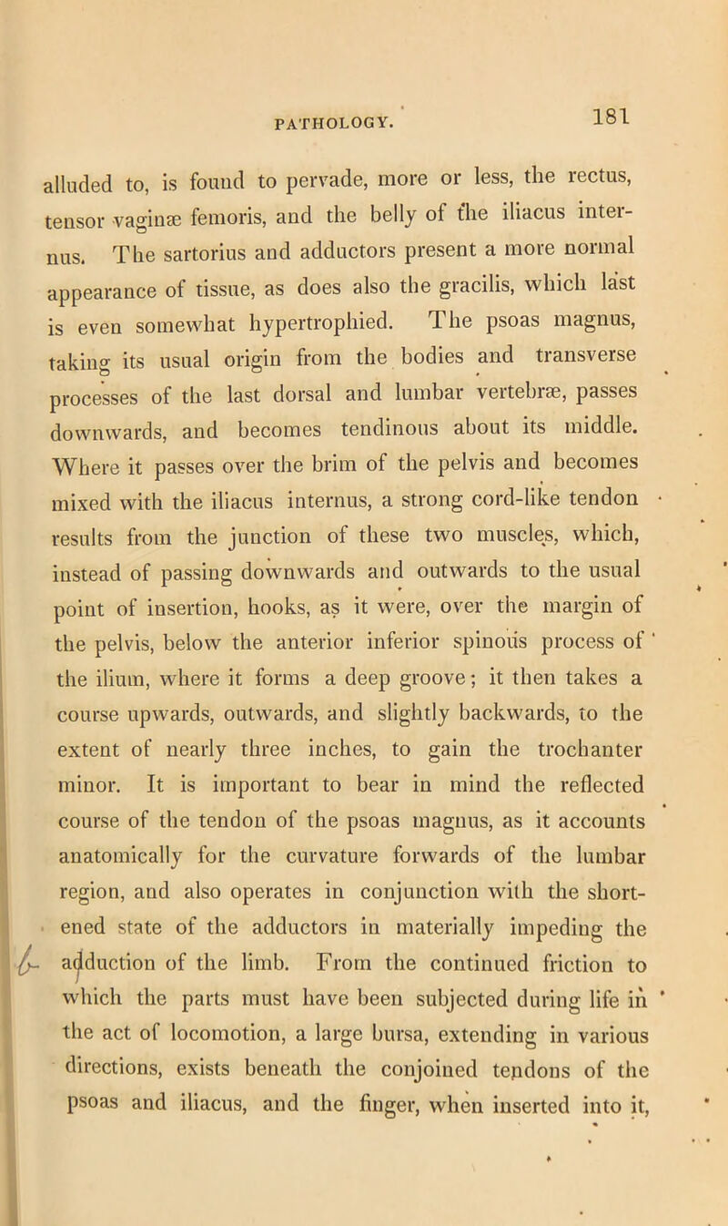 alluded to, is found to pervade, more or less, the rectus, tensor vaginae femoris, and the belly of fhe iliacus inter- nus. The sartorius and adductors present a more normal appearance of tissue, as does also the gracilis, which last is even somewhat hypertrophied. The psoas magnus, taking its usual origin from the bodies and transverse processes of the last dorsal and lumbar vertebiae, passes downwards, and becomes tendinous about its middle. Where it passes over the brim of the pelvis and becomes mixed with the iliacus internus, a strong cord-like tendon results from the junction of these two muscles, which, instead of passing downwards and outwards to the usual point of insertion, hooks, as it were, over the margin of the pelvis, below the anterior inferior spiuoiis process of ‘ the ilium, where it forms a deep groove; it then takes a course upwards, outwards, and slightly backwards, to the extent of nearly three inches, to gain the trochanter minor. It is important to bear in mind the reflected course of the tendon of the psoas magnus, as it accounts anatomically for the curvature forwards of the lumbar region, and also operates in conjunction with the short- ened state of the adductors in materially impeding the ^ adduction of the limb. From the continued friction to which the parts must have been subjected during life in the act of locomotion, a large bursa, extending in various directions, exists beneath the conjoined tendons of the psoas and iliacus, and the finger, when inserted into it,