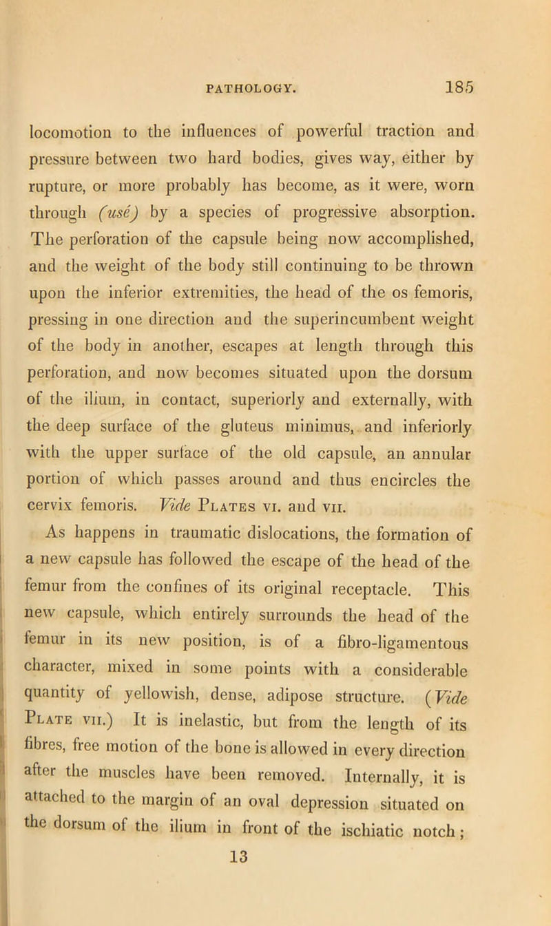 locomotion to the influences of powerful traction and pressure between two hard bodies, gives way, either by rupture, or more probably has become, as it were, worn through (use) by a species of progressive absorption. The perforation of the capsule being now accomplished, and the weight of the body still continuing to be thrown upon the inferior extremities, the head of the os femoris, pressing in one direction and the superincumbent weight of the body in another, escapes at length through this perforation, and now becomes situated upon the dorsum of the ilium, in contact, superiorly and externally, with the deep surface of the gluteus minimus,, and inferiorly with the upper surface of the old capsule, an annular portion of which passes around and thus encircles the cervix femoris. Vide Plates vi. and vii. As happens in traumatic dislocations, the formation of I a new capsule has followed the escape of the head of the femur from the confines of its original receptacle. This new capsule, which entirely surrounds the head of the ) femur in its new position, is of a fibro-ligamentous : character, mixed in some points with a considerable j quantity of yellowish, dense, adipose structure. {Vide ^ Plate vii.) It is inelastic, but from the length of its If fibres, free motion of the bone is allowed in every direction ^ after the muscles have been removed. Internally, it is II attached to the margin of an oval depression situated on I the dorsum of the ilium in front of the ischiatic notch; 13
