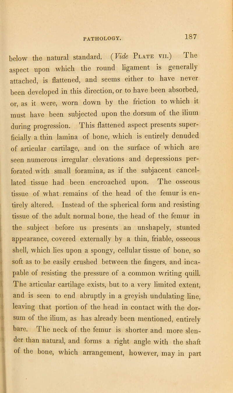 below the natural standard. (Vide Plate vii.) The aspect upon which the round ligament is generally attached, is flattened, and seems either to have never been developed in this direction, or to have been absorbed, or, as it were, worn down by the friction to which it must have been subjected upon the dorsum of the ilium during progression. This flattened aspect presents super- ficially a thin lamina of bone, which is entirely denuded of articular cartilage, and on the surface of which are seen numerous irregular elevations and depressions per- forated with small foramina, as if the subjacent cancel- lated tissue had been encroached upon. The osseous tissue of what remains of the head of the femur is en- tirely altered. Instead of the spherical form and resisting tissue of the adult normal bone, the head of the femur in the subject before us presents an unshapely, stunted appearance, covered externally by a thin, friable, osseous shell, which lies upon a spongy, cellular tissue of bone, so soft as to be easily crushed between the fingers, and inca- pable of resisting the pressure of a common writing quill. The articular cartilage exists, but to a very limited extent, and is seen to end abruptly in a greyish undulating line, leaving that portion of the head in contact with the dor- sum of the ilium, as has already been mentioned, entirely bare. The neck of the femur is shorter and more slen- der than natural, and forms a right angle with the shaft of the bone, which arrangement, however, may in part