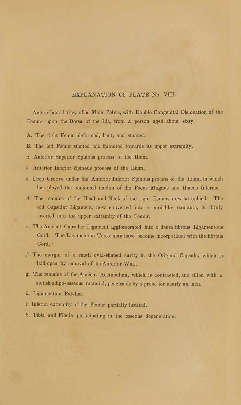 Antero-lateral view of a Male Pelvis, with Double Congenital Dislocation of the Femurs upon the Dorsa of the Ilia, from a person aged about sixty. A. The right Femur deformed, bent, and stunted. B. The left Femur stunted and fractured towards its upper extremity. a. Anterior Superior Spinous process of the Ilium. h. Anterior Inferior Spinous process of the Ilium. c. Deep Groove under the Anterior Inferior Spinous process of -the Ilium, in which has played the conjoined tendon of the Psoas Magnus and Iliacus Interaus. d. The remains of the Head and Neck of the right Femur, now atrophied. The old Capsular Ligament, now converted into a cord-like structure, is firmly inserted into the upper extremity of the Femur. e. The Ancient Capsular Ligament agglomerated into a dense fibrous Ligamentous Cord. The Ligamentum Teres may have become incorporated with the fibrous Cord. • /. The margin of a small oval-shaped cavity in the Original Capsule, which is laid open by removal of its Anterior Wall. g. The remains of the Ancient Acetabulum, which is contracted, and filled with a softish adipo-osseous material, penetrable by a probe for nearly an inch. h. Ligamentum Patellae. i. Inferior extremity of the Femur partially luxated. h. Tibia and Fibula participating in the osseous degeneration.