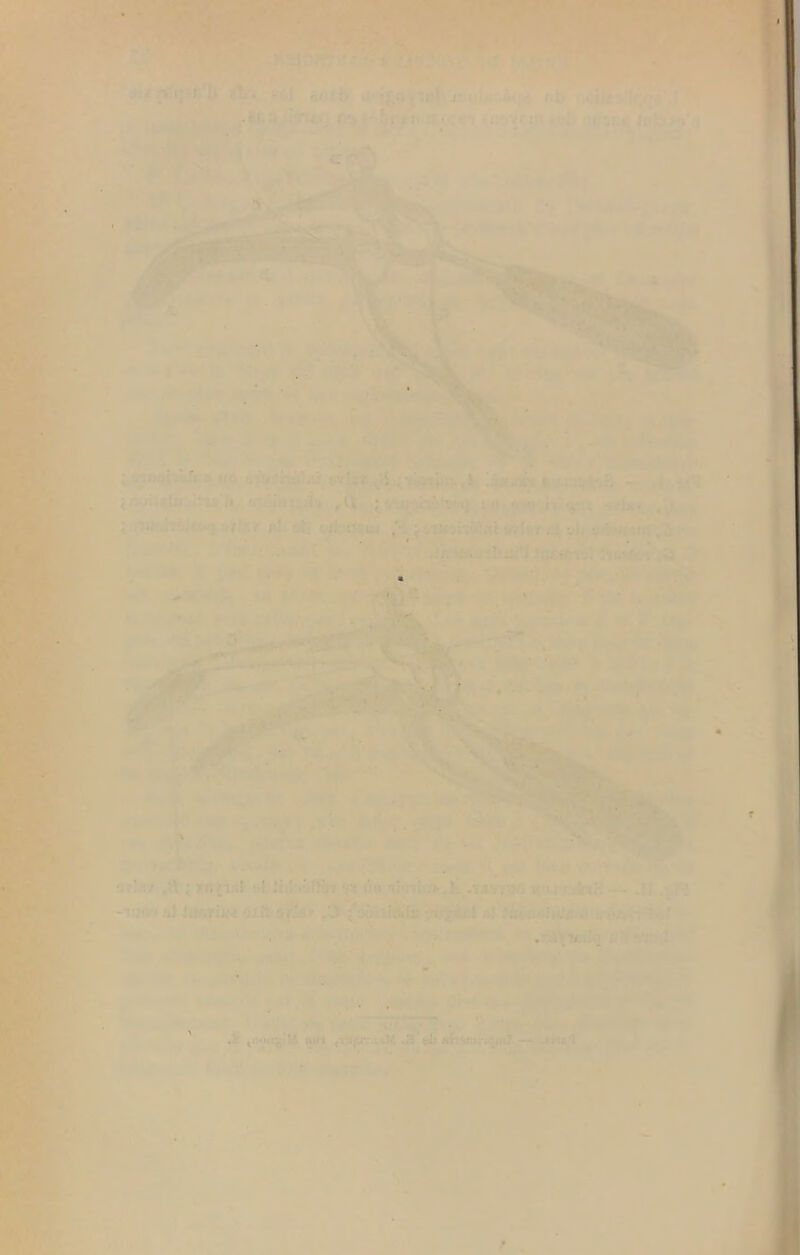 i t. f- ■■■;'. If (j' Iifiîj ;Ï'J ,ùi J','.<j-ihÔ'î<<J i(» il •»■ ; .-l.si , 1 ur tje.u ovît / ;,! v!i ‘ ,->!■ . .. aiU:/ ,l\ ; ïfjji;.! !,.! Jidvjffij-i n i'n> 'îi'ni:.'»',}- -.Mft K’u I lieu- — .îi ,-^R -IIJO'» OiîlafÎAv ,0 ■?4r;jà£l .J i' * ' ■- , ' i« ' *.'*;■■ ^ ,ntWrgîM |iHi ,-rtjUTA*K .^ï t4i —• .Sri*'?