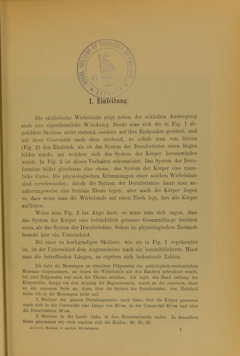 L Eihleitimg. Die sköliotisclie Wirbelsäule zeigt neben der seitlichen Ausbiegung auch eine eigenthümliche Windung. Denkt man sich die in Fig. 1 ab- gebildete Skoliose nicht stehend, sondern auf ihre Endpunkte gestützt, und mit ihrer Convexität nach oben strebend, so erhält man von hinten (Fig. 2) den Eindruck, als ob das System der Dornfortsätze einen Bogen bilden würde, um welchen sich das System der Körper herumwinden würde. In Fig. 3 ist dieses Verhalten schematisirt. Das System der Dorii- fortsätze bildet gleichsam eine ebene, das System der Körper eine räum- liche .Curve. Die physiologischen Krümmungen einer solchen Wirbelsäule sind verschwunden; durch die Spitzen der Dornfortsätze kann man an- näherungsweise eine frontale Ebene legen; aber auch die Körper liegen so, dass wenn man die Wirbelsäule auf einen Tisch legt, fast alle Körper auf liegen. Wenn man Fig. 2 ins Auge fasst, so muss man sich sagen, dass das System der Körper eine beträchtlich grössere Gesammtlänge besitzen muss, als das System der Dornfortsätze. Schon im physiologischen Zustande besteht hier ein Unterschied. Bei einer so hochgradigen Skoliose, wie sie in Fig. 1 repräsentirt ist, ist der Unterschied dem Augenscheine nach ein beträchtlicherer. Misst man die betreffenden Längen, so ergeben sich bedeutende Zahlen. Icli habe die Messungen an einzelnen Präparaten des pathologiseli-anatoinisehen Museums vorgenommen, an denen die Wirbelsäule mit den Bändern getrocknet wurde, bei zwei Präparaten war auch der Thorax erhalten. leli legte das Band entlang der Körperreihe, knapp vor dem Abgang der Bogenwurzeln, zuerst an der convexen, dann an der concaven Seite an, dann über die Spitzen der Dornfortsätze; den Halstheil nahm ich in die Messungen nicht auf. 1. Skoliose des ganzen Dorsalsegmentes nach links; über die Körper gemessen ergab sieh in der Convexität eine Länge von 45 cm, in der Coneavität 40cwi und über die Dornfortsätze 30 cm. 2. Skoliose in der Lende links, in dem Brustabselinitte rechts. In demselben Sinne genommen wie oben ergaben sieh die Zahlen: 40, 35, 31.