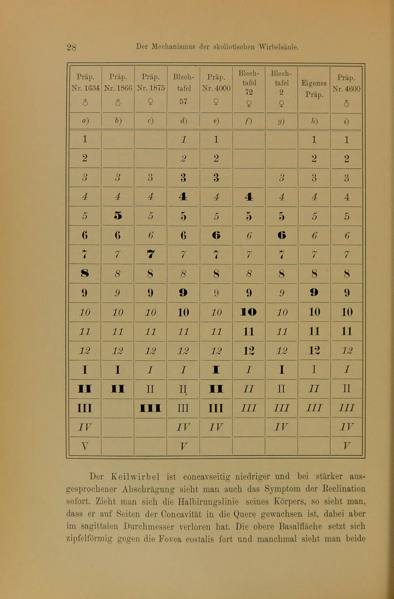 Präp. Nr. 1634 6 Präp. Nr. 1866 5 Präp. Nr. 1875 9 Bleeh- tafel 57 Präp. Nr. 4000 9 Bleeh- tafel 72 9 Bleeh- tafel 2 9 Eigenes Präp. Präp. Nr. 4600 6 a) F c) d) Q n (J) h) i) 1 1 1 1 1 2 2 2 2 2 3 3 3 3 3 3 3 3 4 4 4 4 4 4 4 4 4 5 5 5 5 5 0 5 5 5 6 6 6 6 O 6 O 6 6 7 7 7 7 7 7 7 7 7 8 8 8 8 8 8 8 8 8 9 9 9 9 9 9 9 9 9 10 10 10 10 10 lO 10 10 10 11 11 11 11 11 11 11 11 11 12 12 12 12 12 12 12 12 12 I I I I 1 I I I I 11 11 II 11 11 II II II II III 111 III III III III III III 7F IV IV IV IV V V V Der Keilwirbel ist eoncavseitig niedriger und bei stärker aus- gesprochener Abschrägung sieht man auch das Symptom der Eecliuatioii sofort. Zieht man sich die Halbirungslinie seines Körpers, so sieht man, dass er auf Seiten der Concavität in die Quere gewachsen ist, dabei aber im sagittalen Durchmesser verloren hat. Die obere Basalfiäche setzt sich zipfelförmig gegen die Fovea costalis fort und manchmal sieht man beide