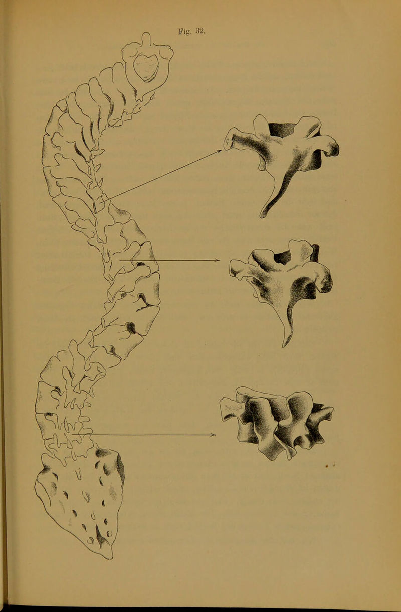 Fig.