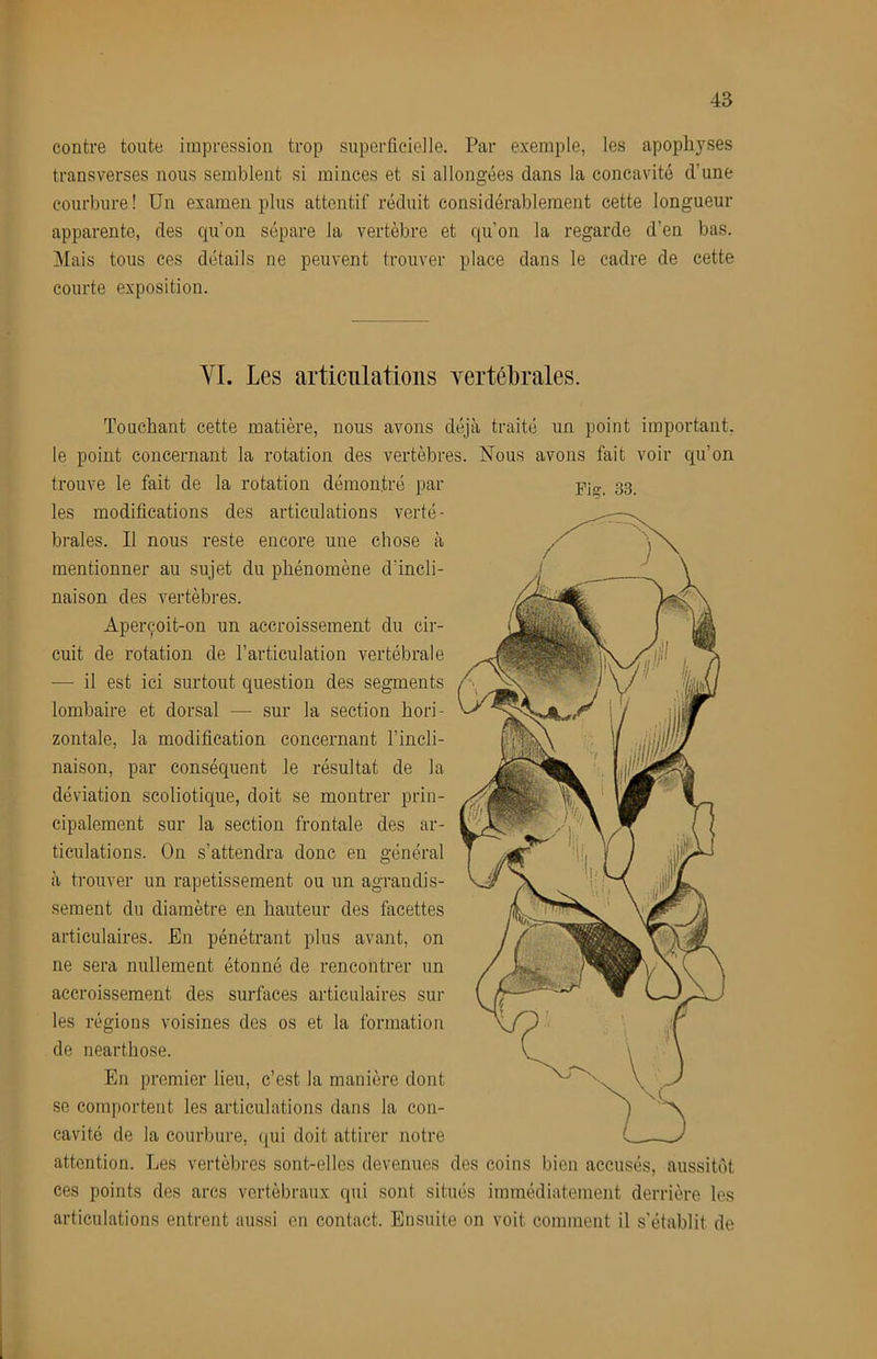 contre toute impression trop superlicielle. Par exemple, les apophyses transverses nous semblent si minces et si allongées dans la concavité d’une courbure! Un examen plus attentif réduit considérablement cette longueur apparente, des qu’on sépare la vertèbre et qu’on la regarde d’en bas. Mais tous ces détails ne peuvent trouver place dans le cadre de cette courte exposition. VI. Les articulations vertébrales. Touchant cette matière, nous avons déjà traité un point important, le point concernant la rotation des vertèbres. Nous avons fait voir qu’on trouve le fait de la rotation démontré par 33^ les modifications des articulations verté- brales. Il nous reste encore une chose à mentionner au sujet du phénomène d’incli- naison des vertèbres. Aperçoit-on un accroissement du cir- cuit de rotation de l’articulation vertébrale — il est ici surtout question des segments lombaire et dorsal — sur la section hori- zontale, la modification concernant l’incli- naison, par conséquent le résultat de la déviation scoliotique, doit se montrer prin- cipalement sur la section frontale des ar- ticulations. On s’attendra donc en général à trouver un rapetissement ou un agrandis- sement du diamètre en hauteur des facettes articulaires. En pénétrant plus avant, on ne sera nullement étonné de rencontrer un accroissement des surfaces articulaires sur les régions voisines des os et la formation de nearthose. En premier lieu, c’est la manière dont se comportent les articulations dans la con- cavité de la courbure, (jui doit attirer notre attention. Les vertèbres sont-elles devenues des coins bien accusés, aussitôt ces points des arcs vertébraux qui sont situés immédiatement derrière les articulations entrent aussi en contact. Ensuite on voit comment il s'établit de
