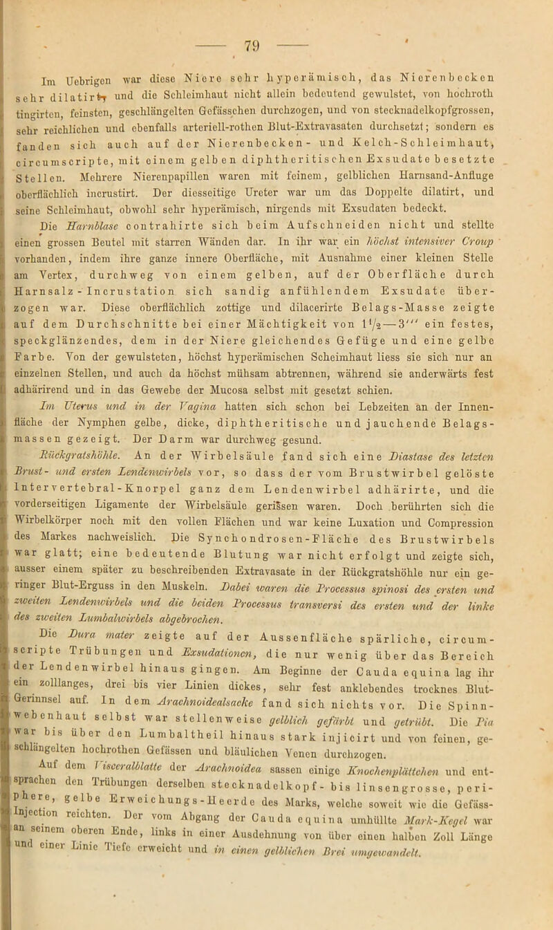 Im Ucbrigcn war diose Niere sehr hyperämisch, das Nierenbecken sehr dilatirfrr und die Schleimhaut nicht allein bedeutend gewulstet, von hochroth timurten, feinsten, geschlängelten Gcfässclien durchzogen, und von stecknadelkopfgrossen, sehr reichlichen und ebenfalls arteriell-rothen Blut-Extravasaten durchsetz!; sondern es fanden sich auch auf der Nierenbecken- und X e 1 ch - S c h 1 e i m haut, circumscripte,mit einem gelben diphtheritischen Exsudate besetzte Stellen. Mehrere Nierenpapillen waren mit feinem, gelblichen Harnsand-Anfluge oberflächlich incrustirt. Der diesseitige Ureter war um das Doppelte dilatirt, und seine Schleimhaut, obwohl sehr hyperämiseh, nirgends mit Exsudaten bedeckt. Die Harnblase contrahirte sich beim Aufschneiden nicht und stellte einen grossen Beutel mit starren Wänden dar. In ihr war ein höchst intensiver Croup vorhanden, indem ihre ganze innere Oberfläche, mit Ausnahme einer kleinen Stelle am Vertex, durchweg von einem gelben, auf der Oberfläche durch Harnsalz - Incrustation sich sandig anfühlendem Exsudate über- zogen war. Diese oberflächlich zottige und dilacerirte Belags-Masse zeigte auf dem Durchschnitte bei einer Mächtigkeit von l,l/s — 3' ein festes, speckglänzendes, dem in der Niere gleichendes Gefüge und eine gelbe Farbe. Von der gewulsteten, höchst hyperämischen Scheimhaut liess sie sich nur an einzelnen Stellen, und auch da höchst mühsam abtrennen, während sie anderwärts fest adhärirend und in das Gewebe der Mucosa selbst mit gesetzt schien. Im TJterus und in der Vagina hatten sich schon bei Lebzeiten an der Innen- fläche der Nymphen gelbe, dicke, diphtheritische und jauchende Belags- massen gezeigt. Der Darm war durchweg gesund. Rüdkgratshöhle. An der Wirbelsäule fand sich eine Diaslase des letzten Brust- und ersten Lendenwirbels vor, so dass der vom Brustwirbel gelöste Intervertebral-Knorpel ganz dem Lendenwirbel adhärirte, und die vorderseitigen Ligamente der Wirbelsäule gerilsen waren. Doch berührten sich die Wirbelkörper noch mit den vollen Flächen und war keine Luxation und Compression des Markes nachweislich. Die Sy n ch o ndr o s en - Flä che des Brustwirbels war glatt; eine bedeutende Blutung war nicht erfolgt und zeigte sich, ausser einem später zu beschreibenden Extravasate in der Rückgratshöhle nur ein ge- linger Blut-Erguss in den Muskeln. Dabei waren die Processus spinosi des ersten und zweiten Lendenwirbels und die beiden Processus transversi des ersten und der linke des zweiten Lumbalwirbels abgebrochen. Die Dura mater zeigte auf der Aussenfläche spärliche, circum- scripte Trübungen und Exsudationen, die nur wenig über das Bereich dei Lendenwirbel hinaus gingen. Am Beginne der Cauda equina lag ihr cm zolllanges, drei bis vier Linien dickes, sehr fest anklebendes trocknes Blut- Gerinnsel auf. In dem Arachnoidealsackc fand sich nichts vor. Die Spinn- weben haut selbst war stellenweise gelblich gefärbt und getrübt. Die Pia war bis über den Lumbaltheil hinaus stark injicirt und von feinen, ge- schlängelten hochrothen Gcfässcn und bläulichen Venen durchzogen. Auf dem I isccralblatte der Arachnoidea sassen einige Knochenplättchen und ent- sprachen den Trübungen derselben stecknadelkopf - bis linsengrosse, peri- P e, gelbe Erweichungs-Heerde des Marks, welche soweit wie die Gefäss- njection reichten. Der vom Abgang der Cauda equina umhüllte Mark-Kegel war an seinem oberen Ende, links in einer Ausdehnung von über einen halben Zoll Länge und einer Linie Tiefe erweicht und in einen gelblichen Brei umgewandelt.