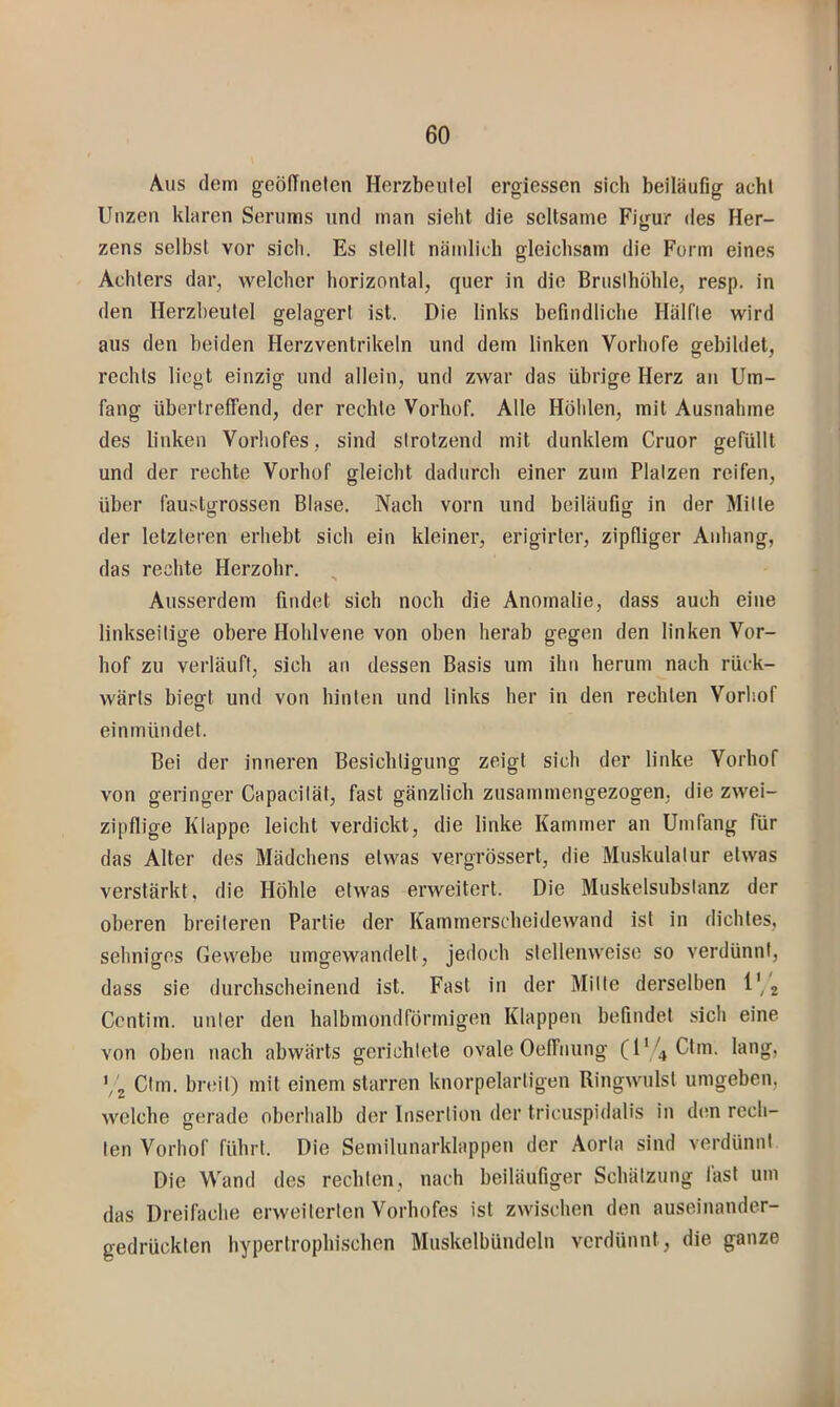Aus dem geöfTiieten Herzbeutel ergiessen sich beiläufig acht Unzen klaren Serums und man sieht die seltsame Figur iles Her- zens selbst vor sich. Es stellt nämlich gleichsam die Form eines Achters dar, welcher horizontal, quer in die Briislhohle, resp. in den Herzbeutel gelagert ist. Die links befindliche Hälfte wird aus den beiden Herzventrikeln und dem linken Vorhofe gebildet, rechts liegt einzig und allein, und zwar das übrige Herz an Um- fang übertreffend, der rechte Vorhof. Alle Holden, mit Ausnahme des buken Vorhofes, sind strotzend mit dunklem Cruor gefüllt und der rechte Vorhof gleicht dadurch einer zum Platzen reifen, über faustgrossen Blase. Nach vorn und beiläufig in der Mitte der letzteren erhebt sich ein kleiner, erigirter, zipfliger Anhang, das rechte Herzohr. Ausserdem findet sich noch die Anomalie, dass auch eine linkseitige obere Hohlvene von oben herab gegen den linken Vor- hof zu verläuft, sich an dessen Basis um ihn herum nach rück- wärts biegt und von hinten und links her in den rechten Vorhof ein mündet. Bei der inneren Besichtigung zeigt sich der linke Vorhof von geringer Capaciiät, fast gänzlich zusammengezogen, die zwei- zipflige Klappe leicht verdickt, die linke Kammer an Umfang Tür das Alter des Mädchens etwas vergrössert, die Muskulatur etwas verstärkt, die Höhle etwas erweitert. Die Muskelsubslanz der oberen breiteren Partie der Kammerscheidewand ist in dichtes, sehniges Gewebe umgewandelt, jedoch stellenweise so verdünnt, dass sie durchscheinend ist. Fast in der Milte derselben l' j Centim. unter den halbmondförmigen Klappen befindet sich eine von oben nach abwärts gerichtete ovale Oelfnung (l'/jCtm. lang, V2 Cim. breit) mit einem starren knorpelarligen Ringwulst umgeben, welche gerade oberhalb der Insertion der tricuspidalis in dim rech- ten Vorhof führt. Die Semilunarklappen der Aorta sind verdünnt Die Wand des rechten, nach beiläufiger Schätzung fast um das Dreifache erweiterten Vorhofes ist zwischen den auseinander- gedrücklen hypertrophischen Muskelbündeln verdünnt, die ganze
