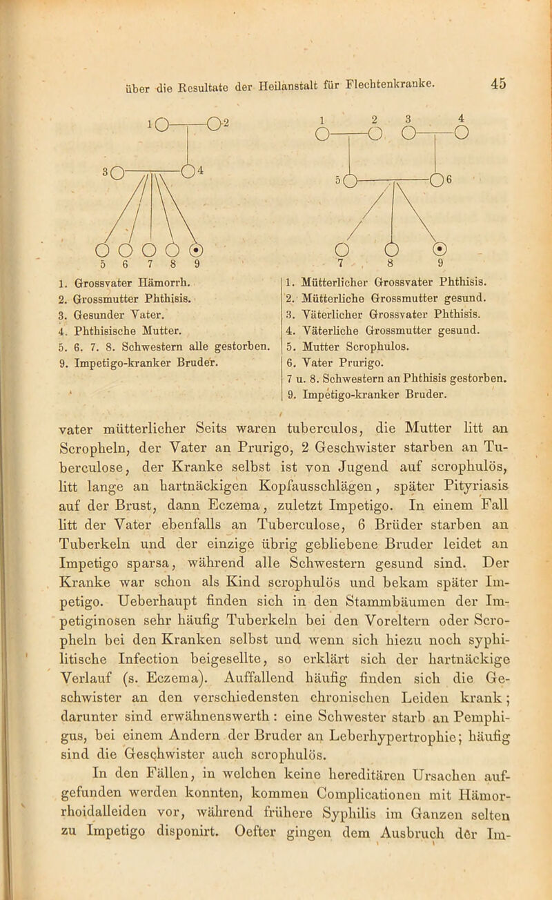 1. Grossvater Hämorrh, 2. Grossmutter Phthisis. 3. Gesunder Vater. 4. Phthisische Mutter. 5. 6. 7. 8. Schwestern alle gestorben. 9. Impetigo-kranker Brude'r. 1 2 3 4 o O 0—0 50 / / O ( 7.8 9 1. Mütterlicher Grossvater Phthisis. 2. Mütterliche Grossmutter gesund. 3. Väterlicher Grossvater Phthisis. 4. Väterliche Grossmutter gesund. 5. Mutter Scrophulos. 6. Vater Prurigo. 7 u. 8. Schwestern an Phthisis gestorben. 9. Impetigo-kranker Bruder. vater mütterlicher Seits waren tuberculos, die Mutter litt an Scropheln, der Vater an Prurigo, 2 Geschwister starben an Tu- berculose, der Kranke selbst ist von Jugend auf scrophulos, litt lange an hartnäckigen Kopfausschlägen, später Pityriasis auf der Brust, dann Eczema, zuletzt Impetigo. In einem Fall litt der Vater ebenfalls an Tuberculose, 6 Brüder starben an Tuberkeln und der einzige übrig gebliebene Bruder leidet an Impetigo sparsa, während alle Schwestern gesund sind. Der Kranke war schon als Kind scx’ophulös und bekam später Im- petigo. Ueberhaupt finden sich in den Stammbäumen der Im- petiginosen sehr häufig Tuberkeln bei den Voreltern oder Scro- pheln bei den Kranken selbst und wenn sich hiezu noch syphi- litische Infection beigesellte, so erklärt sich der hartnäckige Verlauf (s. Eczema). Auffallend häufig finden sich die Ge- schwister an den verschiedensten chronischen Leiden krank; darunter sind erwähnenswerth : eine Schwester starb an Pemphi- gus, bei einem Andern der Bruder an Leberhypertrophie; häufig sind die GesQhwister auch scrophulos. In den Fällen, in welchen keine hereditären Ursachen auf- gefunden werden konnten, kommen Complicationen mit Hämor- rhoidalleiden vor, während frühere Syphilis im Ganzen selten zu Impetigo disponirt. Oefter gingen dem Ausbruch dör Im-