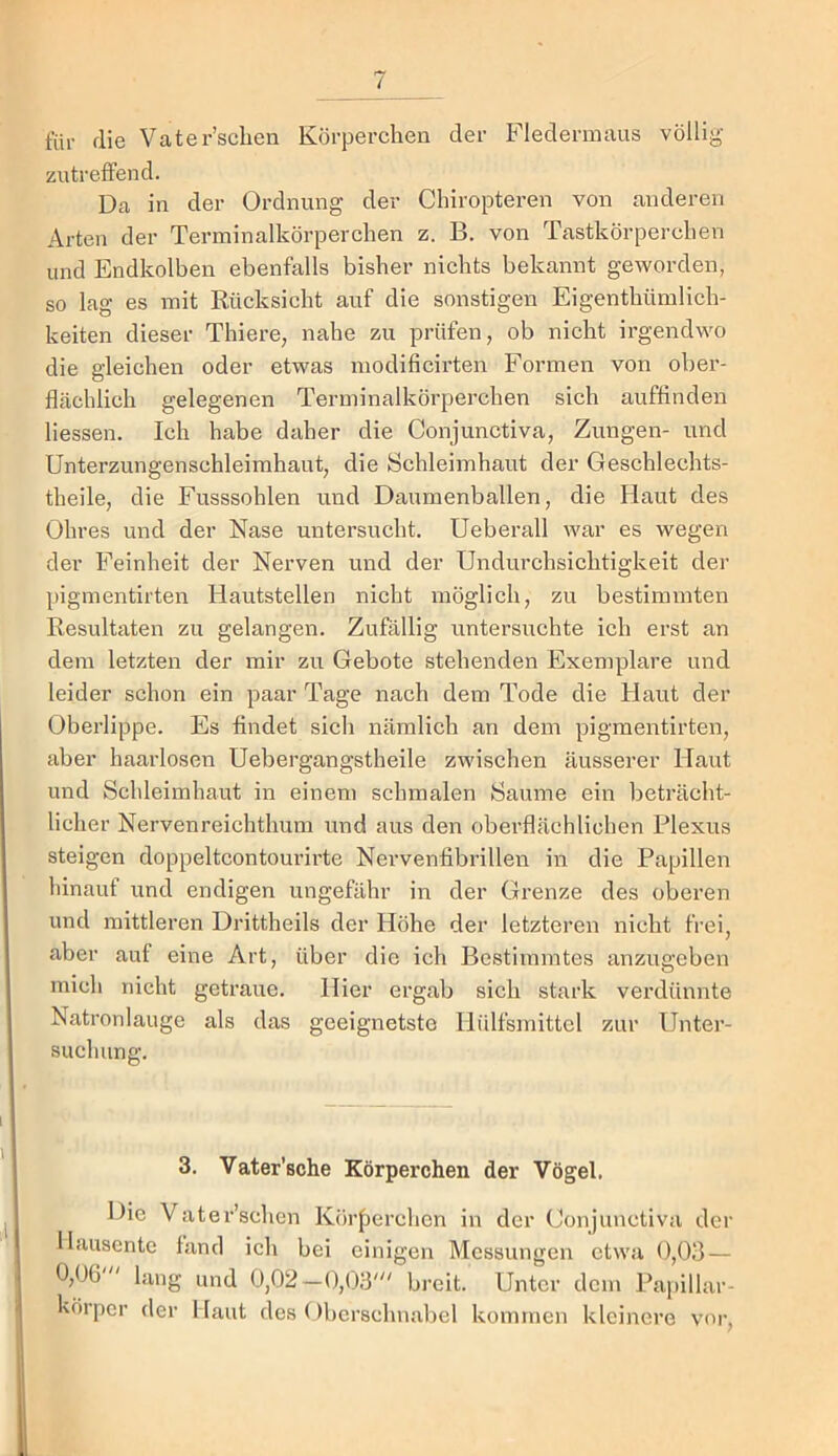 für die Vater’sclien Körperchen der Fledermaus völlig- zutreffend. Da in der Ordnung der Chiropteren von anderen Arten der Terminalkörperchen z. B. von Tastkörperchen und Endkolben ebenfalls bisher nichts bekannt geworden, so lag es mit Rücksicht auf die sonstigen Eigenthümlich- keiten dieser Thiere, nahe zu prüfen, ob nicht irgendwo die gleichen oder etwas modificirten Formen von ober- flächlich gelegenen Terminalkörperchen sich auffinden Hessen. Ich habe daher die Conjunctiva, Zungen- und Unterzungenschleimhaut, die Schleimhaut der Geschlechts- theile, die Fusssohlen und Daumenballen, die Haut des Ohres und der Nase untersucht. Ueberall war es wegen der Feinheit der Nerven und der Undurchsichtigkeit der pigmentirten Hautstellen nicht möglich, zu bestimmten Resultaten zu gelangen. Zufällig untersuchte ich erst an dem letzten der mir zu Gebote stehenden Exemplare und leider schon ein paar Tage nach dem Tode die Haut der Oberlippe. Es findet sich nämlich an dem pigmentirten, aber haarlosen Uebergangstheile zwischen äusserer Haut und Scldeimhaut in einem schmalen Saume ein beträcht- licher Nervenreichthum und aus den oberflächlichen Plexus steigen doppeltcontourirte Nervenfibrillen in die Papillen hinauf und endigen ungefähr in der Gi-enze des oberen und mittleren Drittheils der Höhe der letzteren nicht frei, aber auf eine Art, über die ich Bestimmtes anzugeben mich nicht getraue. Hier ergab sich stark verdünnte Natronlauge als das geeignetste Hülfsmittcl zur Unter- suchung. 3. Vater’sche Körperchen der Vögel. Die Vater’schcn Kör^jerchcn in der Conjunctiva der llausentc fand ich bei einigen Messungen etwa 0,03 — 0,0(5 ' lang und 0,02—0,03' breit. Unter dem Papillar- körper der Haut des (Ibcrschnabel kommen kleinere vor.