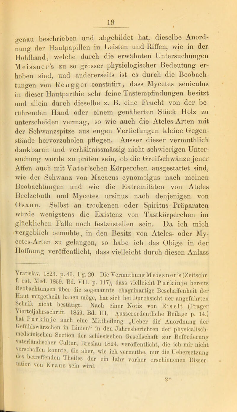 genau beschrieben und abgebildet hat, dieselbe Anord- nung der Hautpapillen in Leisten und KifFen, wie in der Ilohlhand, welche durch die erwähnten Untersuchungen Meissner’s zu so grosser physiologischer Bedeutung er- hoben sind, und andererseits ist es durch die Beobach- tungen von Rengger constatirt, dass Mycetes seniculus in dieser Hautparthie sehr feine Tastempfindungen besitzt und allein durch dieselbe z. B. eine Frucht von der be- rührenden Hand oder einem genäherten Stück Holz zu unterscheiden vermag, so wie auch die Ateles-Arten mit der Schwanzspitze aus engen Vertiefungen kleine Gegen- stände hervorzuholen pflegen. Ausser dieser vermuthlich dankbaren und verhältnissmässig nicht schwierigen Unter- suchung würde zu prüfen sein, ob die Greifschwänze jener Affen auch mit Vater’schen Körperchen ausgestattet sind, wie der Schwanz von Macacus cynomolgus nach meinen Beobachtungen und wie die Extremitäten von Ateles Beelzebuth und Mycetes ursinus nach denjenigen von Osann. Selbst an trockenen oder Spiritus-Präparaten würde wenigstens die Existenz von Tastkörperchen im glücklichen Falle noch festzustellen sein. Da ich mich vergeblich bemühte, in den Besitz von Ateles- oder My- cetes-Arten zu gelangen, so habe ich das Obige in der Hoffnung veröffentlicht, dass vielleicht durch diesen Anlass Vratislav. 1823. p. 46. Fg. 20. Die Vermutliung Meissner’s (Zoitsclir. 1. rat. Med. 1859. Bd. VII. p. 117), dass vielleicht Purkinje bereits Beobachtungen über die sogenannte chagrinartige Beschaffenheit der Haut mitgetheilt haben möge, hat sich bei Durchsicht der angeführten Sclirift nicht bestätigt. Nach einer Notiz von Eis eit (Prager Vierteljahrsschrift. 1859. Bd. III. Ausserordentliche Beilage p. 14.) hat Purkinje auch eine Mittheilung „lieber die Anordnung der Gelülilswärzchen in Linien“ in den Jahresberichten der iihysicalisch- medicinischen Section der schlesischen Gesellschaft zur Beförderung vateiländischer Cultur, Breslau 1824. veröffentlicht, die ich mir nicht veischaft’on konnte, die aber, wie ich vermuthe, nur die Uebersetzung es )etreffendcn I heiles der ein Jahr vorher erschienenen Disser- tation von Kraus sein wird. 2*