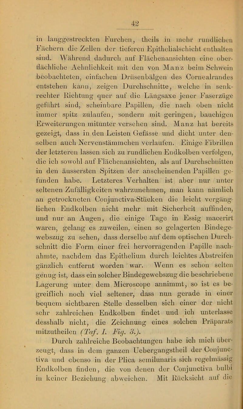 in Uinggestreckten Furchen, theils in mehr rundlichen Fiiehern die Zellen der tieferen Epithelialsehieht enthalten sind. Während dadurch auf Flächenansichten eine ober- riächliche Aehnlichkeit mit den von Mauz beim »Sehwein beobachteten, einfachen Drüsenbälgen des Cornealrandes entstehen kann, zeigen Durchschnitte, welche in senk- recliter Richtung quer auf die Längsaxe jener Faserzüge geführt sind, scheinbare Papillen, die nach oben nicht immer spitz zulaufen, sondern mit geringen, bauchigen Erweiterungen mitunter versehen siiid. Manz hat bereits gezeigt, dass in den Leisten Gefässe und dicht unter den- selben auch Nervenstämmchen verlaufen. Einige Fibrillen der letzteren lassen sich zu rundlichen Endkolben verfolgen, die ich sowohl auf Flächenansichten, als auf Durchschnitten in den äussersten Spitzen der anscheinenden Papillen ge- funden habe. Letzteres Verhalten ist aber nur unter seltenen Zufälligkeiten wahrzunehmen, man kann nämlich an getrockneten Conjunctiva-Stüeken die leicht vergäng- lichen Endkolben nieht mehr mit Sicherheit auftinden, und nur an Augen, die einige Tage in Essig macerirt waren, gelang es zuweilen, einen so gelagerten Bindegc- webszug zu sehen, dass derselbe auf dem optischen Durch- schnitt die Form einer frei hervorragenden Papille nach- ahrate, nachdem das Epithelium durch leichtes Abstreifen gänzlich entfernt worden war. Wenn es schon selten I genug ist, dass ein solcher Bindegewebszug die beschriebene ; Lagerung unter dem Microscopc annimmt, so ist es be- l greiflich noch viel seltener, dass nun gerade in einer i bequem sichtbaren Stelle desselben sich einer der nicht ^ sehr zahlreichen Endkolben findet und ich unterlasse ' desshalb nicht, die Zeichnung eines solchen Präparats mitzutheilcn I. Fuj. 3.). Durch zahlreiche Beobachtungen habe ich mich über- zeugt, dass in dem ganzen Uebergangstheil der Conjunc- tiva und ebenso in der Plica semilunaris sich regelmässig Endkolbcn linden, die von denen der Conjunctiva bulbi in keiner Beziehung abwcichen. Mit Rücksicht aut die