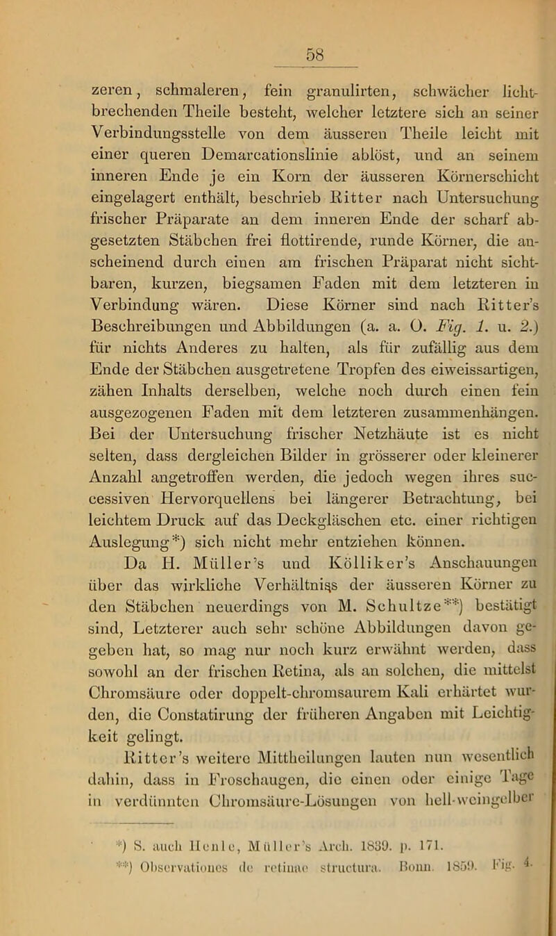 zeren, schmaleren, fein granulirten, schwächer licht- brechenden Theile besteht, welcher letztere sich an seiner Verbindungsstelle von dem äusseren Theile leicht mit einer queren Demarcationslinie ablöst, und an seinem inneren Ende je ein Korn der äusseren Körnerschicht eingelagert enthält, beschrieb Kitter nach Untersuchung frischer Präparate an dem inneren Ende der scharf ab- gesetzten Stäbchen frei flottirende, runde Körner, die an- scheinend durch einen am frischen Präparat nicht sicht- baren, kurzen, biegsamen Faden mit dem letzteren in Verbindung wären. Diese Körner sind nach Ritters Beschreibungen und Abbildungen (a. a. O. Fig. 1. u. 2.) für nichts Anderes zu halten, als für zufällig aus dem Ende der Stäbchen ausgetretene Tropfen des eiweissartigen, zähen Inhalts derselben, welche noch durch einen fein ausgezogenen Faden mit dem letzteren Zusammenhängen. Bei der Untersuchung frischer Netzhäute ist es nicht selten, dass dergleichen Bilder in grösserer oder kleinerer Anzahl angetroffen werden, die jedoch wegen ihres suc- cessiven Hervorquellens bei längerer Betrachtung, bei leichtem Druck auf das Deckgläschen etc. einer richtigen Auslegung'*') sich nicht mehr entziehen können. Da H. Müller’s und Kölliker’s Anschauungen über das wirkliche Verhältni^s der äusseren Körner zu den Stäbchen neuerdings von M. Schnitze*'^) bestätigt sind. Letzterer auch sehr schöne Abbildungen davon ge- geben hat, so mag nur noch kurz erwähnt werden, dass sowohl an der frischen Retina, als an solchen, die mittelst Chromsäurc oder doppelt-chromsaurem Kali erhärtet wur- den, die Constatirung der früheren Angaben mit Leichtig- keit gelingt. Ritter’s weitere Mittheilungen lauten nun wesentlich dahin, dass in Froschaugen, die einen oder einige Tage in verdünnten Chromsäurc-Lösungen von hell-weingelber ■'■) S. auch Heule, Müller’s Areli. 1839. p. 171. **) OI)servationcs de reliiuu' structura. Iloiiii. 1859. l'i.U-
