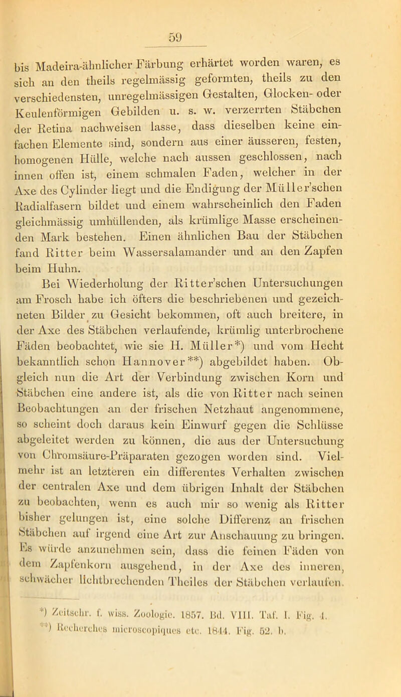 bis Mcadeira-ähnlicher Färbung erhärtet worden waren, es sich an den theils regelmässig geformten, theils zu den verschiedensten, unregelmässigen Gestalten, Glocken- odei Keulenförmigen Gebilden u. s. w. verzerrten Stäbchen der Retina nachweisen lasse, dass dieselben keine ein- fachen Elemente sind, sondern aus einer äusseren, festen, homogenen Hülle, welche nach aussen geschlossen, nach innen offen ist, einem schmalen Faden, welcher in der Axe des Cylinder liegt und die Endigung der Müller’schen Radialfasern bildet und einem wahrscheinlich den Faden gleichmässig umhüllenden, als krümlige Masse erscheinen- den Mark bestehen. Einen ähnlichen Bau der Stäbchen fand Ritter beim Wassersalamander und an den Zapfen beim Huhn. Bei Wiederholung der Ritter’schen Untersuchungen am Frosch habe ich öftei’S die beschriebenen und gezeich- neten Bilder zu Gesicht bekommen, oft auch breitere, in der Axe des Stäbchen verlaufende, krümlig unterbrochene Fäden beobachtet, wie sie H. Müller*) und vom Hecht bekanntlich schon Hannover**) abgebildet haben. Ob- gleich nun die Art der Verbindung zwischen Korn und Stäbchen eine andere ist, als die von Ritter nach seinen Beobachtungen an der frischen Netzhaut angenommene, so scheint doch daraus kein Einwurf gegen die Schlüsse abgeleitet werden zu können, die aus der Untersuchung Li von Chroinsäure-Rräparaten gezogen worden sind. Viel- )| mehr ist an letzteren ein differentes Verhalten zwischen y der centralen Axe und dem übrigen Inhalt der Stäbchen » zu beobachten, wenn es auch mir so wenig als Ritter r bisher gelungen ist, eine solche Differenz au frischen i Stäbchen aut irgend eine Art zur Anschauung zu bringen. I Es würde anzunchmen sein, dass die feinen Fäden von I dein Zaptenkorn ausgehend, in der Axe des inneren, I schwächer lichtbiechendcn Thciles der Stäbchen verlaufen, j I V /I^itsclii-, f. wiss. Zoologie. 1857. Bil. Vlll. Tal'. 1. Fig, ]. j Ueeherclics inicroscoi)i(iues etc. 18-14. Kig. 52. I».