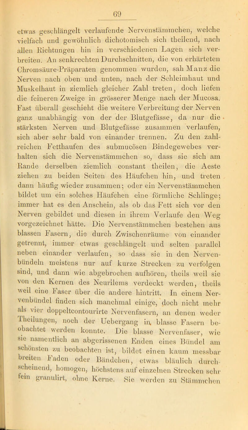 etwas geschlängelt verlaufende Nervenstäminchen, welche vielfach und gewöhnlich dichotoinisch sich theilend, nach allen Kichtungen hin in verschiedenen Lagen sich ver- breiten. An senkrechten Durchschnitten, die von erhärteten Chromsäure-Präparaten genommen wurden, sah Manz die Nerven nach oben und unten, nach der Schleimhaut und Muskelhaut in ziemlich gleicher Zahl treten, doch liefen die feineren Zweige in grösserer Menge nach der Mucosa. Fast überall geschieht die weitere Verbreitung der Nerven ganz unabhängig von der der Blutgefässe, da nur die stärksten Nerven und Blutgefässe zusammen verlaufen, sich aber sehr bald von einander trennen. Zu den zahl- reichen Fetthaufen des submucösen Bindegewebes ver- halten sich die Nervenstämmchen so, dass sie sich am Rande derselben ziemlich constant theilen, die Aeste ziehen zu beiden Seiten des Häufchen hin, und treten dann häufig wieder zusammen; oder ein Nervenstämmchen bildet um ein solches Häufchen eine förmliche Schlinge; immer hat es den Anschein, als ob das Fett sich vor den Nerven gebildet und diesen in ihrem Verlaufe den Weg vorgezeichnet hätte. Die Nervenstämmchen bestehen aus blassen Fasern, die durch Zwischenräume von einander getrennt, immer etwas geschlängelt mid selten parallel neben einander verlaufen, so dass sie in den Nerven- bündeln meistens nur auf kurze Strecken zu verfolgen sind, und dann wie abgebrochen aufhören, theils weil sie von den Kernen des Neurilems verdeckt werden, theils weil eine Faser über die andere hintritt. In einem Ner- venbündel finden sich manchmal einige, doch nicht mehr als vier doppeltcontoiirirte Nervenfasern, an denen weder Ihcilungeii, noch der Uebergang in, blasse Fasern be- obachtet werden konnte. Die blasse Nervenfaser, wie sie namentlich an abgerissenen Enden eines Bündel am schönsten zu beobachten ist, bildet einen kaum messbar breiten Faden oder Bändchen, etwas bläulich durch- scheinend, homogen, höchstens auf einzelnen Strecken sehr lein granulirt, ohne Kerne. Sie werden zu Stämmchen