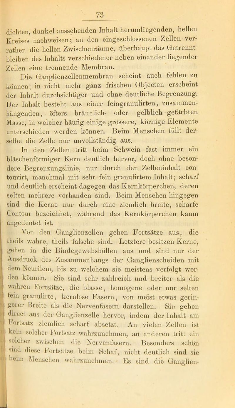 dichten, dunkel aussehenden Inhalt herumliegenden, hellen Kreises nachweisen; an den eingeschlossenen Zellen ver- rathen die hellen Zwischenräume, überhaupt das Getrennt- bleiben des Inhalts verschiedener neben einander liegender Zellen eine trennende Membran. Die Ganglienzellenmembran scheint auch fehlen zu können: in nicht mehr ganz frischen Objecten erscheint der Inhalt durchsichtiger und ohne deutliche Begrenzung. Der Inhalt besteht aus einer feingranulirten, zusammen- hängenden, öfters bräunlich- oder gelblich-gefärbten Masse, in welcher häufig einige grössere, körnige Elemente unterschieden werden können. Beim Menschen füllt der- selbe die Zelle nur unvollständig aus. In den Zellen tritt beim Schwein fast immer ein bläschenförmiger Kern deutlich hervor, doch ohne beson- dere Begrenzungslinie, nur durch den Zelleninhalt con- tourirt, manchmal mit sehr fein granulirtem Inhalt; scharf und deutlich erscheint dagegen das Kei’nkörperchen, deren selten mehrere vorhanden sind. Beim Menschen hingegen sind die Kerne nur durch eine ziemlich breite, scharfe Contour bezeichnet, während das Kernkörperchen kaum angedeutet ist. Von den Ganglienzellen gehen Fortsätze aus, die theils wahre, theils falsche sind. Letztere besitzen Kerne, gehen in die Bindegewebshüllen aus und sind nur der Ausdruck des Zusammenhangs der Ganglienscheiden mit dem Neurilem, bis zu welchem sie meistens verfolgt wer- den können. Sie sind sehr zahlreich und breiter als die wahren Fortsätze, die blasse, homogene oder nur selten fein granulirte, kernlose Fasern, von meist etwas gerin- gerer Breite als die Nervenfasern darstellen. Sie gehen direct aus der Ganglienzelle hervor, indem der Inhalt am I ortsatz ziemlich scharf absetzt. An vielen Zellen ist kein solcher Fortsatz wahrzunehmen, an anderen tiltt ein solcher zwischen die Nervenfasern. Besonders schön sind diese Fortsätze beim Schaf, nicht deutlich sind sie heim Menschen wahrzuuehmen. Es sind die Ganglien-