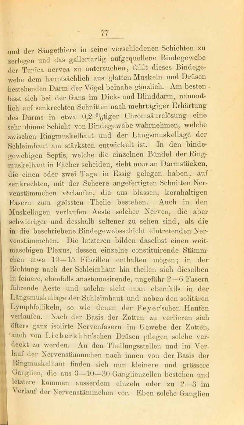 6 k) »I ti' II: uml der Säugethiere in seine versehiedenen Schichten zu zerlegen umr das gallertartig aufgequollene Bindegewebe der Tiinica nervea zu untersuchen, fehlt dieses Bindege- webe dem hauptsächlich aus glatten Muskeln und Drüsen bestehenden Darm der Vögel beinahe gänzlich. Am besten lässt sich bei der Gans im Dick- und Blinddarm, nament- lich auf senkrechten Schnitten nach mehrtägiger Erhärtung des Darms in etwa 0,2 «/otiger Chromsäurelösung eine sehr dünne Schicht von Bindegewebe wahrnehmen, welche zwischen Ringmuskelhaut und der Längsmuskellage der Schleimhaut am stärksten entwickelt ist. In den binde- gewebigen Septis, welche die einzelnen Bündel der Ring- muskelhaut in Fächer scheiden, sieht man an Darmstücken, die einen oder zwei Tage in Essig gelegen haben, auf senkrechten, mit der Scheere angefertigten Schnitten Ner- venstämmchen verlaufen, die aus blassen, kernhaltigen Fasern zum grössten Theile bestehen. Auch in den Muskellagen verlaufen Aeste solcher Nerven, die aber schwieriger und desshalb seltener zu sehen sind, als die in die beschriebene Bindegewebsschicht eintretenden Ner- venstämmchen. Die letzteren bilden daselbst einen weit- maschigen Plexus, dessen einzelne constituirende Stämm- chen etwa 10—15 Fibrillen enthalten mögen; in der Richtung nach der Schleimhaut hin theilen sich dieselben in feinere, ebenfalls anastomosirende, ungefähr 2 — 6 Fasern führende Aeste und solche sieht man ebenfalls in der Längsmuskellage der Schleimhaut und neben den solitären Lymphfollikeln, so wie denen der Peyer’schen-Haufen verlaufen. Nach der Basis der Zotten zu verlieren sich öfters ganz isolirte Nervenfasern im Gewebe der Zotten, 'auch von Lieberkühn’schen Drüsen pflegen solche ver- deckt zu werden. An den Theilungsstellen und im Ver- lauf der Nervenstäinmchen nach innen von der Basis der Ringmuskel haut finden sich nun kleinere und grössere Ganglien, die aus 6—10—,‘30 Ganglienzellen bestehen und letztere kommen ausserdem einzeln oder zu 2—3 im Verlauf der Nervenstäinmchen vor. Eben solche Ganglien i