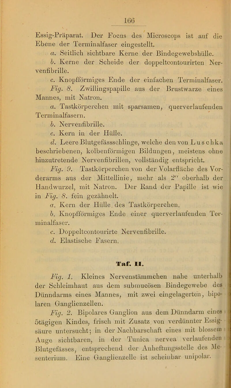 106 Essig-Präparat. Der Focus des Microscops ist auf die Ebene der Terminalfaser eingestellt. a. Seitlich sichtbare Kerne der Bindegewebshülle. b. Kerne der Scheide der doppeltcontourirten Ner- venfibrille. c. Knopfförmiges Ende der einfachen Terminalfaser. Fig. 8. Zwillingspapille aus der Brustwarze eines Mannes, mit Natron. a. Tastkörperchen mit sparsamen, querverlaufenden Terminalfasern. b. Nervenfibrille. c. Kern in der Hülle. d. Leere Blutgefässschlinge, welche den von Luschka beschriebenen, kolbenförmigen Bildungen, meistens ohne hinzutretende Nervenfibrillen, vollständig entspricht. Fig. 9. Tastkörperchen von der Volarfläche des Vor- derarms aus der Mittellinie, mehr als 2 oberhalb der Handwurzel, mit Natron. Der Band der Papille ist wie in Fig. 8. fein gezähnelt. a. Kern der Hülle, des Tastkörperchen. b. Knopfförmiges Ende einer querverlaufenden Ter- minalfaser. c. Doppeltcontourirte Nervenfibrille. d. Elastische Fasern. Taf. 11. Fig. 1. Kleines Nervenstämmchen nahe unterhalb der Schleimhaut aus dem submucösen Bindegewebe des Dünndarms eines Mannes, mit zwei eingelagerten, bipo- laren Ganglienzellen. Fig. 2. Bipolares Ganglion aus dem Dünndarm eines ötägigen Kindes, frisch mit Zusatz von verdünnter Essig- säure untersucht; in der Nachbarschaft eines mit blossem Auge sichtbaren, in der Tunica nervea verlautenden Blutgefässes, entsprechend der Anhcftungsstclle des Me- senterium. Eine Ganglienzcllc ist scheinbar unipolar.