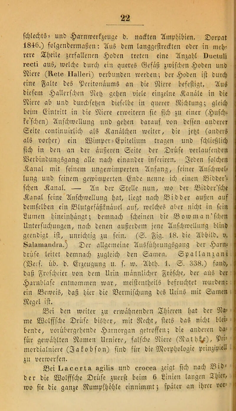 fcl)led)t» = unb .iparnwerfjeuge b. nacften 'tlmpl)ibien. £>orpat 1846.) folgenbermapen: 2lu3 bcm langgeftrecften ober in niet>- me Steile verfallenen £oben treten eine Ulnjabl Ductuli recti aue>, welche burd) ein quereä ®efdp jvoifeben ^>oben unb 9tiere (Rete Halleri) perbtmben werben; ber ^)oben ift burd) eine gälte beä fPeritondumä an bie 9tiere befefiigt. ‘tlu$ biefem .Ipallerfcben 9ielj geben oicle einzelne Äandle in bie Spiere ab unb burdtfehen biefelbe in querer 9?id)tung; gleich beim (Eintritt in bie 9tiere erweitern fie ftd) ju einer (.fpufd); fe’fd)en) -.2lnfd)mcllung unb geben barauf oon beffen anberer Seite continuirlicb al§ «Landleben weiter, bie jefjt (anberS al§ oorber) ein 3Bimper= dpitelium tragen unb fcblieftlicb ftd) in ben an ber dufteren Seite ber £)rüfe perlaufcnben ©erbinbungSgang alle nad) einanber inferiren. Seben folcben .Kanal mit feinem ungewimpevten Anfang, feiner 'tlnfdtweü | (ung unb feinem gewimperten @nbe nenne id) einen ©ibber’; fd)en .Kanal. — 2Cn ber Stelle nun, wo ber ©ibbcr’fcbe .Kanal feine 2lnfd)wellung b«t/ liegt nad) ©ibber außen auf bemfelben ein ©lutgcfdßfnaucl auf, welche aber nicht in fein Junten l)ineinl)dngt; bemnacl) febeinen bie ffiowma n’fcben Unterfud)ungcn, nach benen außerbem jene Tlnfcbwellung blinb geenbigt ift, unrid)tig ju fein. (S. gig. 18. bie ‘tlbbilb. ü. Salamandra.) 2)er allgemeine 2lu3fül)rungSgang ber J^)arn« brüfe leitet bemnacb jugleid) ben Samen. Spallanjani (SSevf. üb. b. (Srjcugung u. f. w. tlbtl). 1. S. 338.) fanb, baß grofd)eicr oon bem Urin männlicher grofd)e, ber aü§ ber .fparnblafe entnommen war, meifientl)cil6 befruchtet würben: ein ©eweiS, baß l;ier bie ©ermifdjung bc3 Urinei mit Samen Siegel ift. ©ei ben weiter vtt erwdbnenben Seinen bat ber 9ta= me SBolfffcbe IDrüfe biSljer, mit 9tcd)t, ftctö ba§ nicht bleü benbe, porübergebenbe $arn organ getroffen; bie anberen ba= für gewählten 9tarnen Urniere, falfcbe 9ciere (9?a11) f^O / fPr>s morbialniere (3a f o bfon) ftub für bie üJtorpbologie prinjipitd I ju perwerfen. ©ei Laccrta agilis unb crocea jeigt fiel) nad) ©ib» ber bie 2Bolfffd)e 2)rüfe juerft beim 6 ßinien langen 2bicr' 1 wo fie bie ganje 9?umpfl)öblc einnimmt; fpdlcr an i^ror ror;