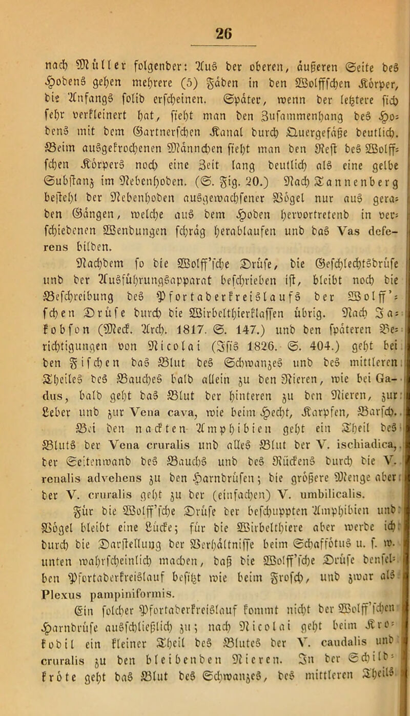 2G nad) Füller folgenber: 2(u3 ber oberen, duneren ©eite be§ $oben§ geben mehrere (5) gaben in ben Sßotfffcben Körper, bis Anfangs folib erfd)einen. ©pater, roenn ber (entere ftd) febr verkleinert bat, fiebt man ben 3ufammenl)ang be3 Qo-. ben§ mit bcm ©artnerfcben .Kanal burd) £liiergefd§e beutlicb. Seim au5gekrocbenen 5D?dnnd)en ftebt man ben 9?eft beä 2Solff= fcben .Korperö nod) eine Seit lang beutlidb al§ eine gelbe ©ubjlanj im 9Rebcnf)oben. (©. gig. 20.) 91ad) Dannenberg beliebt ber 9Rebenl)oben auägemacbfener Söget nur auS gera= ben ©dngen, melcbe au§ bem .Ipoben J>ei*vortretenb in oer; fcbiebenen SSBenbungen fdjrag l;erablaufen unb ba3 Vas defe- rens hüben. 9Rad)bem fo bie SCBoIff’fcbe ©rufe, bie ©efd)ted)tSbrüfe unb ber 2fuSfül)rung§apparat betrieben ift, bleibt nocb bie Sefd)retbung be§ $)fortaberkrei6lauf§ ber SBolff’s fcben ©rufe burd) bie SBirbeltbierflaffen übrig. SRacb Set = kobfon (SEftecf. 2lrd). 1817. ©. 147.) unb ben fpateren Se^ ricbtigungen üon Nicolai (SftS 1826. ©. 404.) gebt bei ben gif eben baS Slut be§ ©d)»anje§ unb be» mittleren Dl)eile§ bcö Saud)e§ halb allein ju bcnSRieren, mie bei Ga- dus, halb gebt ba§ Slut ber hinteren ju ben Vieren, jur Seber unb jur Vena cava, rote beim -fped)f, .Karpfen, Sarfd). Set ben nackten- Amphibien gebt ein D'beil be5• Stut§ ber Vena cruralis unb alleS Slut ber V. ischiadica,. ber ©citenroanb beS Saucb§ unb bcS 3iücf'en§ burd) bie V. vcnalis advehens ju ben |)arnbrüfcn; bie größere Stetige aber ber V. cruralis gebt ju ber (einfachen) V. umbilicalis. gür bie SBolff fd)e ©rufe ber befcfyuppten tfmpbibicn unb: Sögel bleibt eine Stufe; für bie 2Birbeltl)iere aber »erbe id) burd) bie ©arjlellutjg ber Serl)dltniffe beim ©dbaffotuS u. f. ». unten mabrfebeintid) mad)en, bafj bie SBclfffcbe ©rufe benfel*. ben )Pfortaberfrei§lauf befifet roie beim grofd), unb j»ar at$ Plexus pampiniformis. (Sin foteber $Pfortaberkrei§lauf kommt nicht ber 5Boljf |d)eii £arnbrüfe auSfcbliefjlid) ju; ttad) SRicolai gebt beim .Kvo = fobil ein kleiner Dbcil be§ SIutc§ ber V. caudalis unb cruralis ju ben bleibenben 9Ricrcn. Sn ber @d)ilbs fröte gel;t ba§ Slut be§ ©dwanjeä, be§ mittleren Dl;ci^