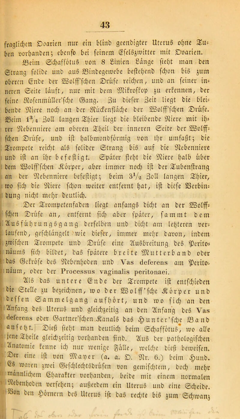 fraglichen SDoarien nur ein blinb geenbigter UteruS ohne £u= ben oorhanben; ebcnfo bei feinem SfelSjwitter mit ©oarien. ffieim ©cbaffötuS von 8 ßinien Sänge fiefjt man ben gtrang folibe unb auS Sitrbegewebe beftehenb fd)on bis jum oberen @nbe ber SBolff’fchen ©rufe reichen, unb an feiner in* neren ©eite läuft, nur mit bem Ntifroffop ju erfennen, ber feine Nofenmüllcr’fcbe ©ang. 3n biefer Seit liegt bie bleU benbe Spiere noch an ber Nücfenflädje ber SGBolff’fchen ©rufe, ffieim i3, 4 3olI langen 5Sl;ier liegt bie bleibenbe Spiere mit ihj rer Nebenniere am oberen Sl)eil ber inneren ©eite ber SEBolff* fchen ©rufe, unb ift hnlbmonbformig von ihr umfaßt; bie trompete reicht als foliber ©trang bis auf bie Nebenniere unb ift an ihr bcfejtigt. ©päter fleht bie Niere tjalb über bem SGBolff’fchen Jtörper, aber immer noch ift ber SEubenftrang an ber Nebenniere befeftigt; beim 3Va Soll langen Shter, too fich bie Niere fdjon weiter entfernt hnt, ift biefe Serbin* bung nicht mehr beutlicb. ©er Srompctenfaben liegt anfangs bicht an ber SÜßolff* fchen ©rufe an, entfernt ftch aber fpäter, famrnt bem j AuSfuljru ngSg äng berfelben unb bicht am letzteren »er: f laufenb, gefchlängelt wie biefer, immer mehr babon, tnbem i jwifdjen trompete unb ©rufe eine Ausbreitung beS $Perito* i näumS ftch bilbet, baS fpätere breite SNutterbanb ober - baS ©efrofe beS Nebenhoben unb Vas deferens am $erito- J näutn, ober ber Processus vaginalis peritonaei. AIS baS untere ©nbe ber SErompcte ift entfliehen bie ©teile gu bezeichnen, wo ber SQBolff’fchc Körper unb I beffen ©ammeigang aufhort, unb wo ftch an ben Anfang beS UteruS unb gleichzeitig an ben Anfang beS Vas deferens ober ©artner’fchen „Kanals baS # unter’fd)e ffianb Qnfeljt. ©ieß fiel)t man beutlich beim ©chaffotuS, wo alfe f i«e SheÜe gleichzeitig oorßanben ftnb. AuS ber pathologifchen Anatomie fenne ich nur wenige galle, welche bieft beweifen. Ser eine ift oon SJtaper (a. a. ©. Nr. 6.) beim £unb. • ©ä waren jwei ©cfchlechtSbrüfen oon gemifchtem, hoch mehr männlichem Gßnrafter oorhanben, beibe mit einem normalen i ^^enhoben oerfehen; außerbent ein UteruS unb eine ©cheibc. Sion ben Römern beS UteruS ift baS rechte bis jum ©d;manj £ r -