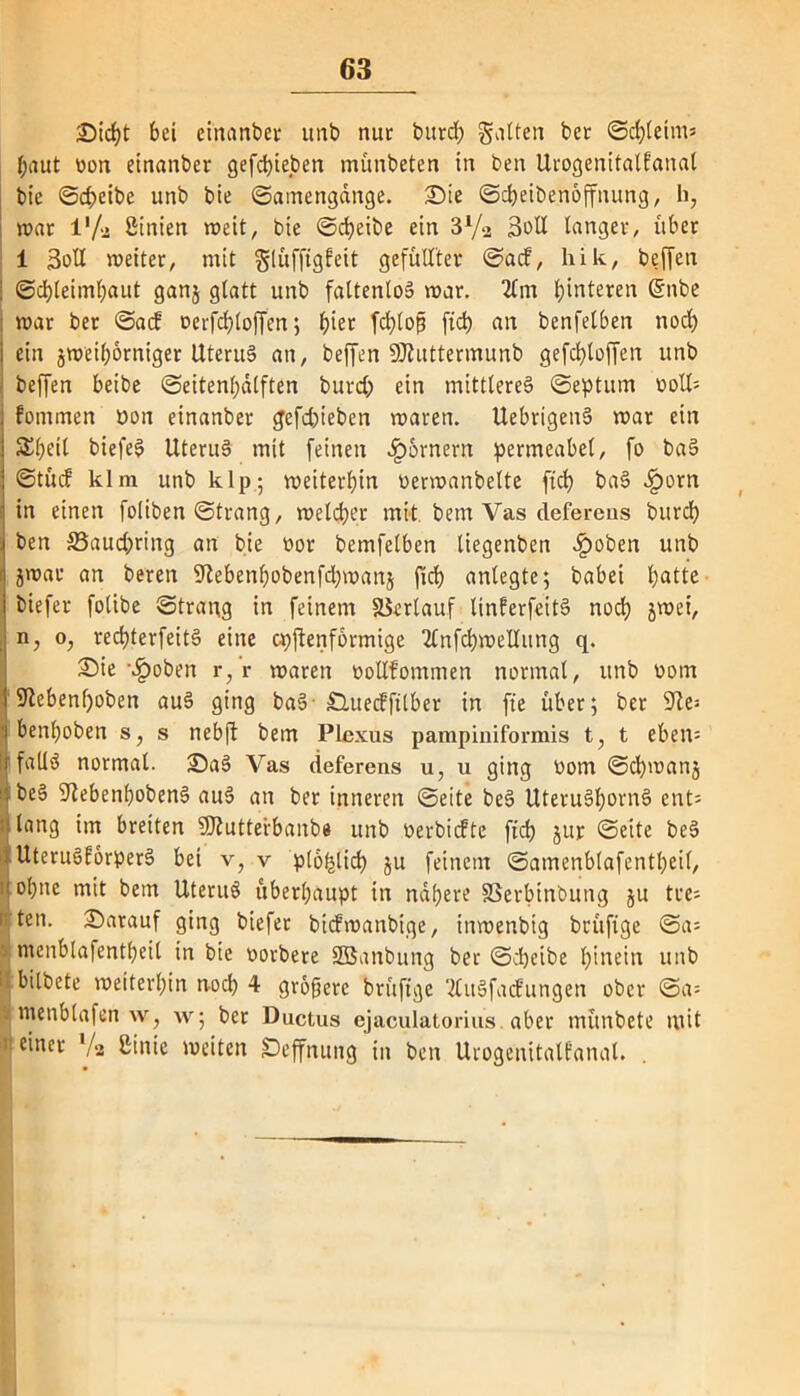 Sicht bei einanber unb nur burd; galten bcr ©cbleirn* l;aut tion einanber gefchieben münbeten in ben Urogenitalfanal bic Scheibe unb bie ©amengänge. Sie ©cheibenöffnung, h, war l'/ü ßinien weit, bie ©cheibe ein 3Va 3oU langer, über 1 3oU weiter, mit glüfftgfeit gefüllter ©acf, hik, beffen I ©d)leimbaut ganj glatt unb faltenloS war. 2lm hinteren Grube war ber ©acf ocrfchloffen; b^t fchlofü fid) an benfelben noch i ein jweiborniger UteruS an, beffen SJiuttermunb gefcbloffen unb beffen beibe ©eitenbdlften burd) ein mittleres ©eptum ooll* j fontmen non einanber gefd)ieben waren. UebrigenS war ein S£()t'il biefeS UteruS mit feinen Kornern permeabel, fo baS ©tücf klm unb k 1 p; weiterbin oerwanbelte [ich baS Jporn in einen foliben ©trang, welcher mit bem Vas defereus burcb . ben 33aud)ring an bie oor bemfelben liegenben ^)oben unb r jwar an bereit 9lebenbobenfd)wanj ftch anlegte; babei batte biefer folibe ©trang in feinem Verlauf linferfeitS noch jwei, ; Uj o, recbterfeitS eine cpftenformige 2lnfd)wellung q. Sie \£oben r, r waren oollfommen normal, unb oom 9lcbenl)oben auS ging baS- £luecfftlber in fte über; ber 9les I benboben s, s nebft bem Plexus pampiniformis t, t eben= Ifalls normal. SaS Vas deferens u, u ging üom ©cbwanj beS 9lebenbobenS auS an ber inneren ©eite beS UteruSl)ornS ent; n lang im breiten SJiutterbanbe unb oerbicfte ftcb jur ©eite beS ; UteruSforperS bei v, v plofelid) ju feinem ©amenblafentbeil, ’ ol)ne mit bem UteruS überhaupt in nähere SSerbinbung ju tre= i: tcn. Sarauf ging biefer btcfwanbtge, inwenbtg brüfige ©a= menblafentheil in bie oorbere Sffianbung ber ©cheibe hinein unb ii bilbcte weiterhin noch 4 größere brüfige UluSfacfungen ober @a= menblafen w, w; ber Ductus ejaculatorius aber münbete mit einer ’/a ßinie weiten Seffnung in ben Urogenitalfanal.