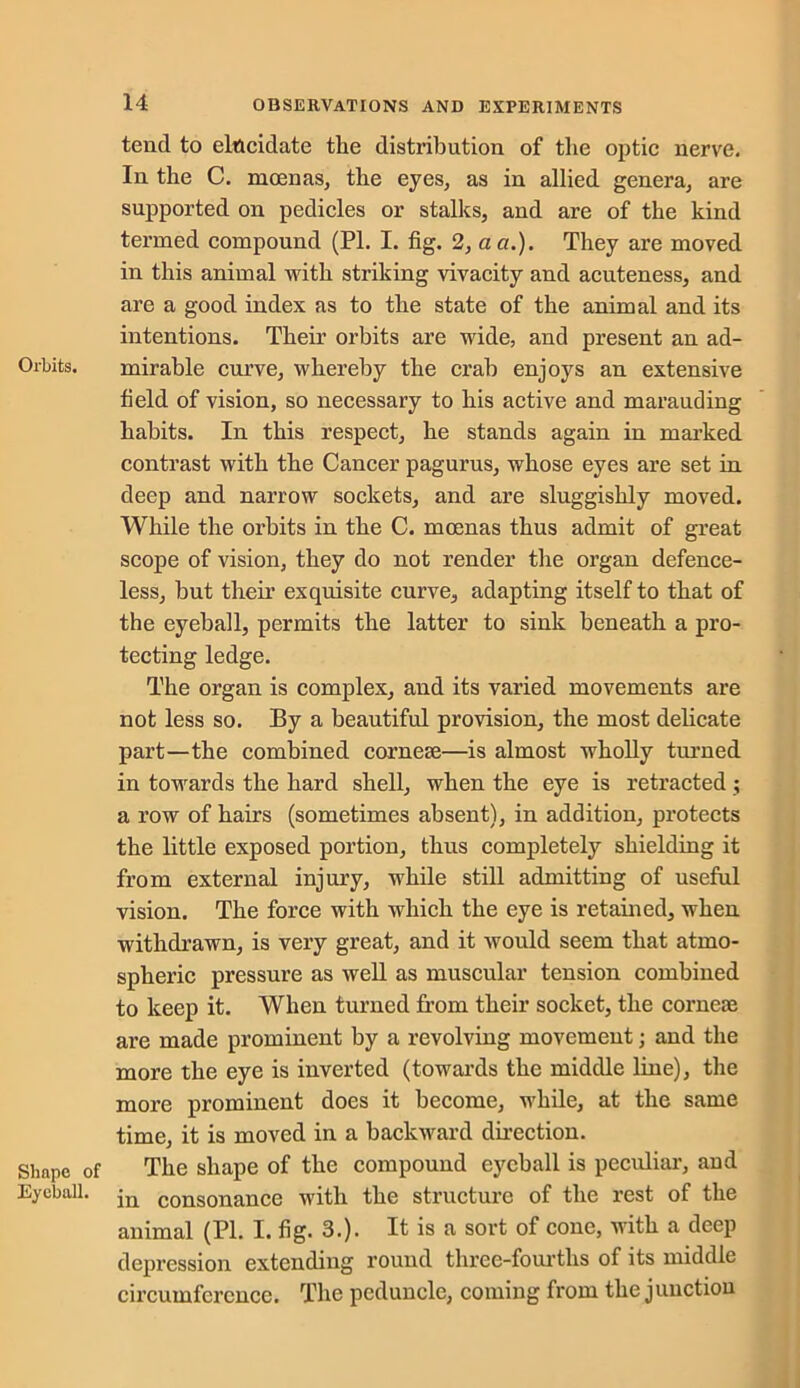 Orbits. Shape of Eyeball. tend to elucidate tlie distribution of the optic nerve. In the C. incenas, the eyes, as in allied genera, are supported on pedicles or stalks, and are of the kind termed compound (PI. I. fig. 2, act.). They are moved in this animal with striking vivacity and acuteness, and are a good index as to the state of the animal and its intentions. Their orbits are wide, and present an ad- mirable curve, whereby the crab enjoys an extensive field of vision, so necessary to his active and marauding habits. In this respect, he stands again in marked contrast with the Cancer pagurus, whose eyes are set in deep and narrow sockets, and are sluggishly moved. While the orbits in the C. moenas thus admit of great scope of vision, they do not render the organ defence- less, but their exquisite curve, adapting itself to that of the eyeball, permits the latter to sink beneath a pro- tecting ledge. The organ is complex, and its varied movements are not less so. By a beautiful provision, the most delicate part—the combined cornese—is almost wholly tinned in towards the hard shell, when the eye is retracted ; a row of hairs (sometimes absent), in addition, protects the little exposed portion, thus completely shielding it from external injury, while still admitting of useful vision. The force with which the eye is retained, when withdrawn, is very great, and it would seem that atmo- spheric pressure as well as muscular tension combined to keep it. When turned from their socket, the corneie are made prominent by a revolving movement; and the more the eye is inverted (towards the middle line), the more prominent does it become, while, at the same time, it is moved in a backward direction. The shape of the compound eyeball is peculiar, and in consonance with the structure of the rest of the animal (PI. I. fig. 3.). It is a sort of cone, with a deep depression extending round three-fourths of its middle circumference. The peduncle, coming from the junction