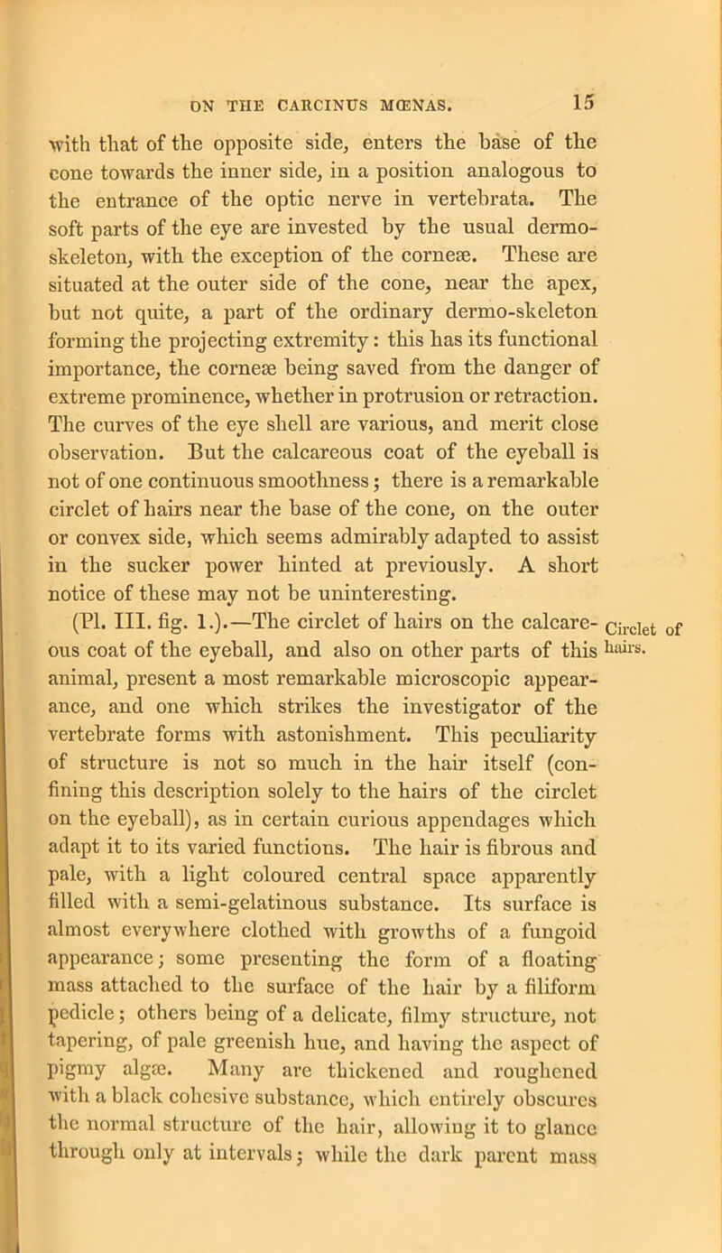 with that of the opposite side, enters the base of the cone towards the inner side, in a position analogous to the entrance of the optic nerve in vertebrata. The soft parts of the eye are invested by the usual dermo- skeleton, with the exception of the cornem. These are situated at the outer side of the cone, near the apex, but not quite, a part of the ordinary dermo-skeleton forming the projecting extremity: this has its functional importance, the cornese being saved from the danger of extreme prominence, whether in protrusion or retraction. The curves of the eye shell are various, and merit close observation. But the calcareous coat of the eyeball is not of one continuous smoothness; there is a remarkable circlet of hairs near the base of the cone, on the outer or convex side, which seems admirably adapted to assist in the sucker power hinted at previously. A short notice of these may not be uninteresting. (PL III. fig. 1.).—The circlet of hairs on the calcare- circlet ous coat of the eyeball, and also on other parts of this hairs, animal, present a most remarkable microscopic appear- ance, and one which strikes the investigator of the vertebrate forms with astonishment. This peculiarity of structure is not so much in the hair itself (con- fining this description solely to the hairs of the circlet on the eyeball), as in certain curious appendages which adapt it to its varied functions. The hair is fibrous and pale, with a light coloured central space apparently filled with a semi-gelatinous substance. Its surface is almost everywhere clothed with growths of a fungoid appearance; some presenting the form of a floating mass attached to the surface of the hair by a filiform pedicle; others being of a delicate, filmy structure, not tapering, of pale greenish hue, and having the aspect of pigmy algte. Many are thickened and roughened with a black cohesive substance, which entirely obscures the normal structure of the hair, allowing it to glance through only at intervals; while the dark parent mass