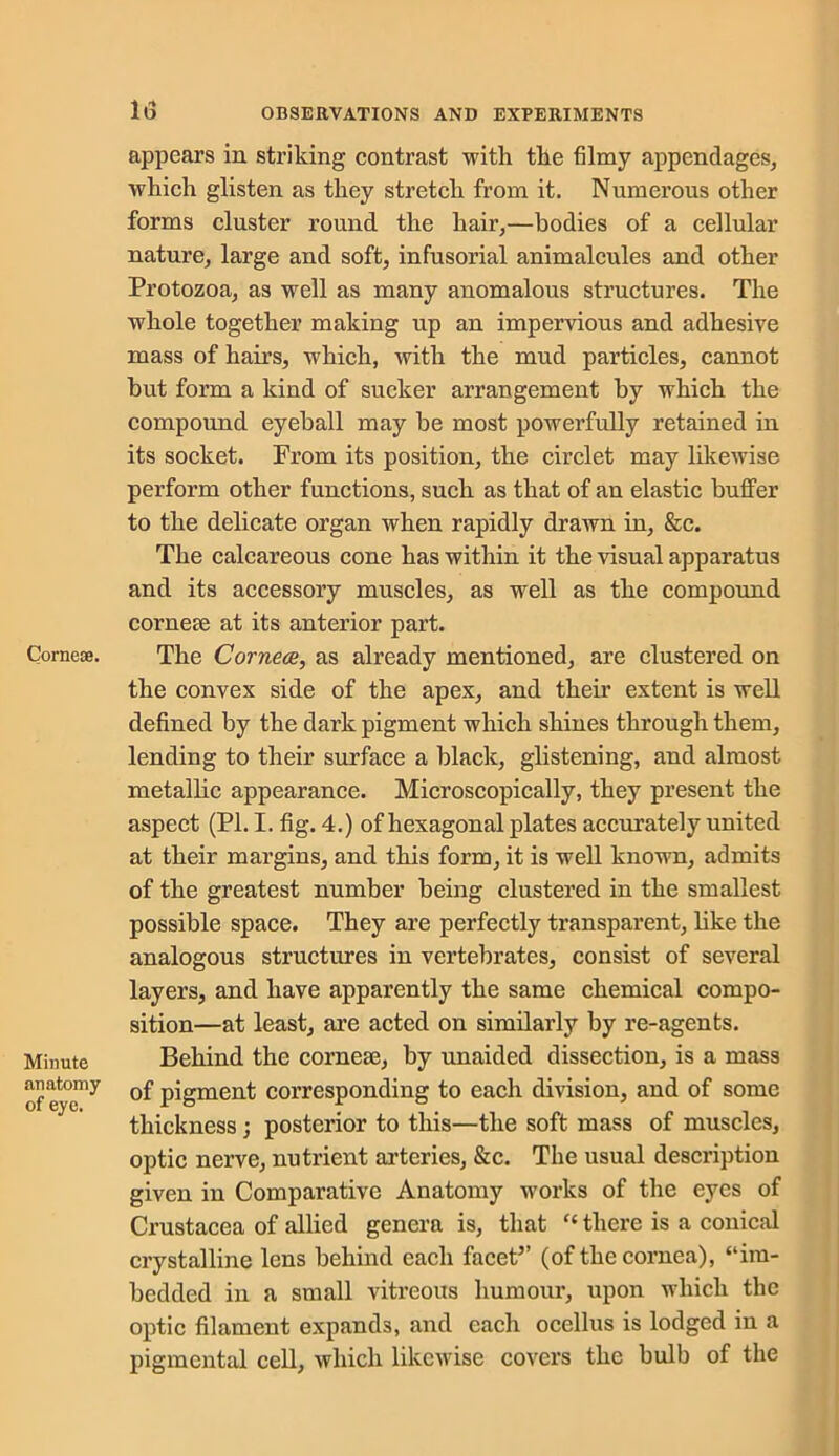 Cornese. Minute anatomy of eye. appears in striking contrast with the filmy appendages, which glisten as they stretch from it. Numerous other forms cluster round the hair,—bodies of a cellular nature, large and soft, infusorial animalcules and other Protozoa, as wrell as many anomalous structures. The whole together making up an impervious and adhesive mass of hairs, which, with the mud particles, cannot but form a kind of sucker arrangement by which the compound eyeball may be most powerfully retained in its socket. From its position, the circlet may likewise perform other functions, such as that of an elastic buffer to the delicate organ when rapidly drawn in, &c. The calcareous cone has within it the visual apparatus and its accessory muscles, as well as the compound cornete at its anterior part. The Corneas, as already mentioned, are clustered on the convex side of the apex, and their extent is well defined by the dark pigment which shines through them, lending to their surface a black, glistening, and almost metallic appearance. Microscopically, they present the aspect (PI. I. fig. 4.) of hexagonal plates accurately united at their margins, and this form, it is well known, admits of the greatest number being clustered in the smallest possible space. They are perfectly transparent, like the analogous structures in vertebrates, consist of several layers, and have apparently the same chemical compo- sition—at least, are acted on similarly by re-agents. Behind the corneee, by unaided dissection, is a mass of pigment corresponding to each division, and of some thickness; posterior to this—the soft mass of muscles, optic nerve, nutrient arteries, &c. The usual description given in Comparative Anatomy works of the eyes of Crustacea of allied genera is, that “ there is a conical crystalline lens behind each facet5’ (of the cornea), “im- bedded in a small vitreous humour, upon which the optic filament expands, and each ocellus is lodged in a pigmental cell, which likewise covers the bulb of the