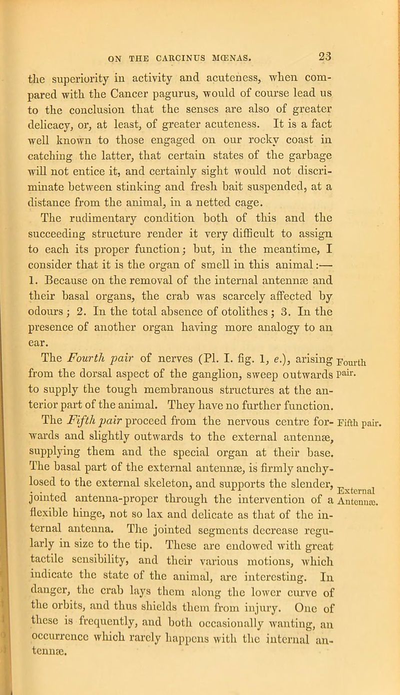 the superiority in activity and acuteness, when com- pared with the Cancer pagurus, would of course lead us to the conclusion that the senses are also of greater delicacy, or, at least, of greater acuteness. It is a fact well known to those engaged on our rocky coast in catching the latter, that certain states of the garbage will not entice it, and certainly sight would not discri- minate between stinking and fresh bait suspended, at a distance from the animal, in a netted cage. The ruclimentai’y condition both of this and the succeeding structure render it very difficult to assign to each its proper function; but, in the meantime, I consider that it is the organ of smell in this animal:— 1. Because on the removal of the internal antennae and their basal organs, the crab was scarcely affected by odours ; 2. In the total absence of otolithes ; 3. In the presence of another organ having more analogy to an ear. The Fourth pair of nerves (PL I. fig. 1, e.), arising fourth from the dorsal aspect of the ganglion, sweep outwards Pair- to supply the tough membranous structures at the an- terior part of the animal. They have no further function. The Fifth pair proceed from the nervous centre for- Fifth pair, wards and slightly outwards to the external antenme, supplying them and the special organ at their base. The basal part of the external antenna:, is firmly ancliy- losed to the external skeleton, and supports the slender, ^ A jointed antenna-proper through the intervention of a Antenna:, flexible hinge, not so lax and delicate as that of the in- ternal antenna. The jointed segments decrease regu- larly in size to the tip. These are endowed with great tactile sensibility, and their various motions, which indicate the state of the animal, are interesting. In danger, the crab lays them along the lower curve of the orbits, and thus shields them from injury. One of these is frequently, and both occasionally wanting, an occurrence which rarely happens with the internal an- tenme.