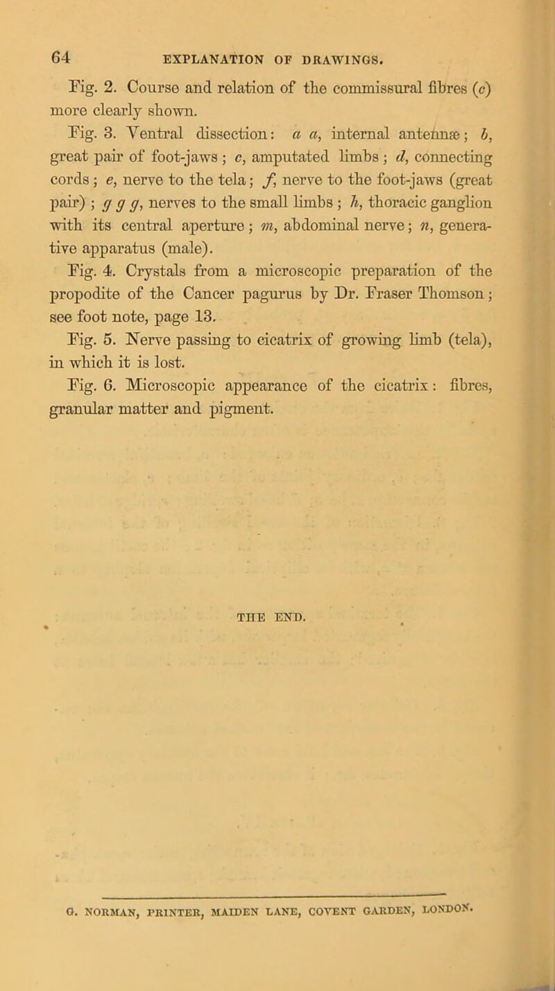 Fig. 2. Course and relation of the commissural fibres (c) more clearly shown. Fig. 3. Ventral dissection: a a, internal antefmae; b, great pair of foot-jaws ; c, amputated limbs ; d, connecting cords; e, nerve to the tela; f nerve to the foot-jaws (great pair) ; cj g g, nerves to the small limbs ; h, thoracic ganglion with its central aperture; m, abdominal nerve; n, genera- tive apparatus (male). Fig. 4. Crystals from a microscopic preparation of the propodite of the Cancer pagurus by Dr. Fraser Thomson; see foot note, page 13. Fig. 5. Nerve passing to cicatrix of growing limb (tela), in which it is lost. Fig. 6. Microscopic appearance of the cicatrix: fibres, granular matter and pigment. THE END. O. NORMAN, PRINTER, MAIDEN LANE, COVENT GARDEN, LONDOX.