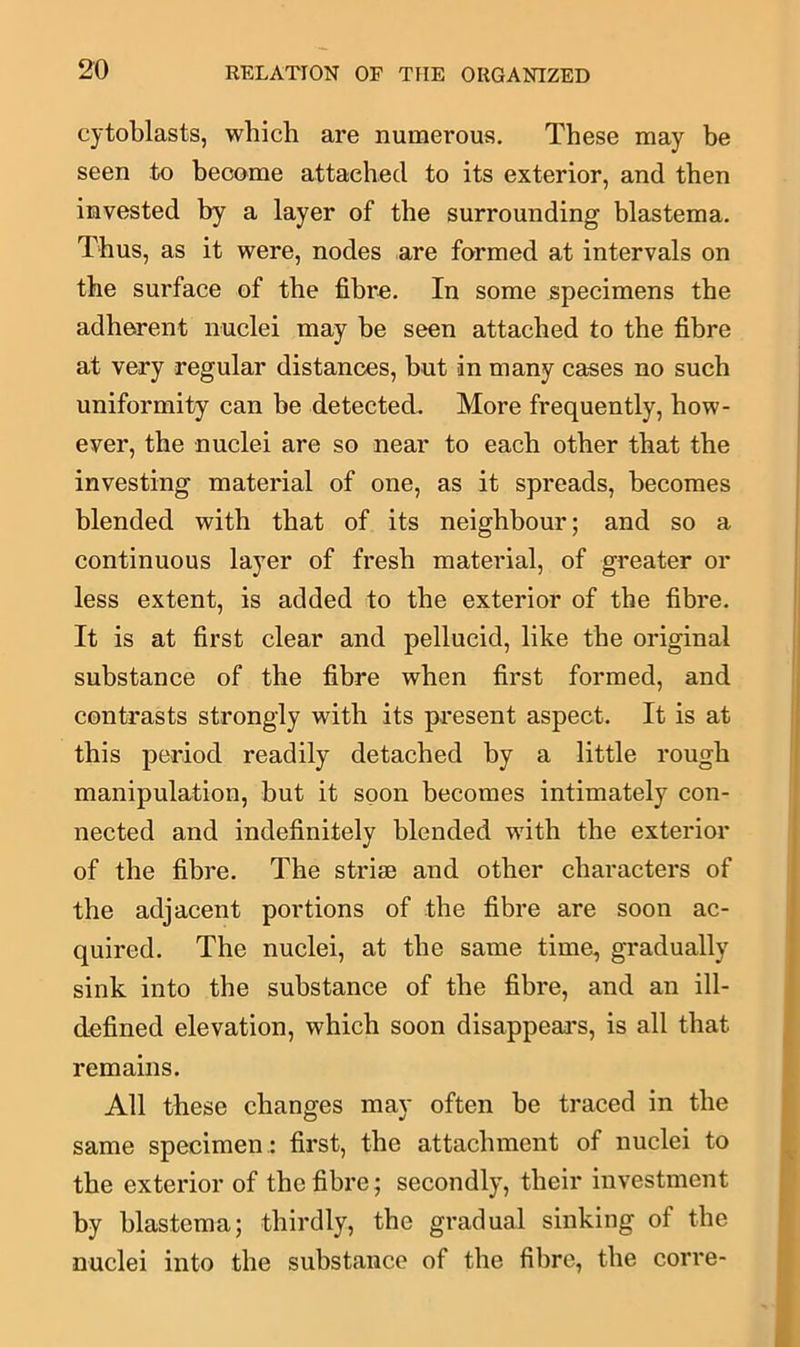 cytoblasts, which are numerous. These may be seen to become attached to its exterior, and then invested by a layer of the surrounding blastema. Thus, as it were, nodes are formed at intervals on the surface of the fibre. In some specimens the adherent nuclei may be seen attached to the fibre at very regular distances, but in many cases no such uniformity can be detected. More frequently, how- ever, the nuclei are so near to each other that the investing material of one, as it spreads, becomes blended with that of its neighbour; and so a continuous layer of fresh material, of greater or less extent, is added to the exterior of the fibre. It is at first clear and pellucid, like the original substance of the fibre when first formed, and contrasts strongly with its present aspect. It is at this period readily detached by a little rough manipulation, but it soon becomes intimately con- nected and indefinitely blended with the exterior of the fibre. The striae and other characters of the adjacent portions of the fibre are soon ac- quired. The nuclei, at the same time, gradually sink into the substance of the fibre, and an ill- defined elevation, which soon disappears, is all that remains. All these changes may often be traced in the same specimen : first, the attachment of nuclei to the exterior of the fibre; secondly, their investment by blastema; thirdly, the gradual sinking of the nuclei into the substance of the fibre, the corre-
