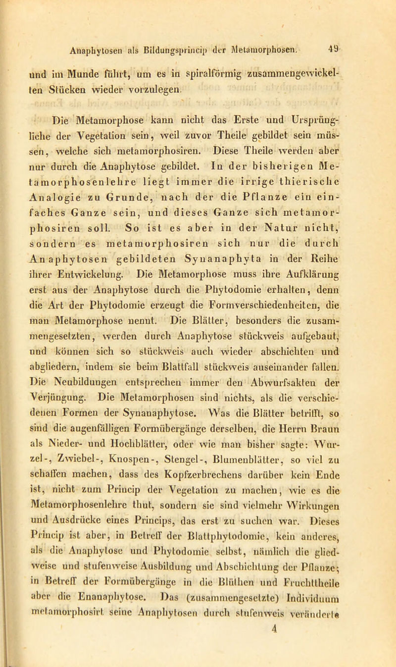 and im Munde führt, um es in spiralförmig zusammengewickel- ten Stücken wieder vorzulegen. Die Metamorphose kann nicht das Erste und Ursprüng- liche der Vegetation sein, weil zuvor Theile gebildet sein müs- sen, welche sich metamorphosiren. Diese Theile werden aber nur durch die Anaphytose gebildet. Iu der bisherigen Me- tamorphosenlehre liegt immer die irrige thierische Analogie zu Grunde, nach der die Pflanze ein ein- faches Ganze sein, und dieses Ganze sich metamor- phosiren soll. So ist es aber in der Natur nicht, sondern es metamorphosiren sich nur die durch Anaphytosen gebildeten Syuanaphyta in der Reihe ihrer Entwickelung. Die Metamorphose muss ihre Aufklärung erst aus der Anaphytose durch die Phytodomie erhalten, denn die Art der Phytodomie erzeugt die Form Verschiedenheiten, die man Metamoi’phose nennt. Die Blätter, besonders die zusam- mengesetzten, werden durch Anaphytose stückweis aufgebaut, und können sich so stückweis auch wieder abschichteu und abgliedern, indem sie beim Blattfall stückweis auseinander fallen. Die Neubildungen entsprechen immer den Abwurfsakten der Verjüngung. Die Metamorphosen sind nichts, als die verschie- denen Formen der Synauaphylose. Was die Blätter betrifft, so sind die augenfälligen Formübergänge derselben, die Herrn Braun als Nieder- und Hochblätter, oder wie man bisher sagte: Wur- zel-, Zwiebel-, Knospen-, Stengel-, Blumenblätter, so viel zu schaffen machen, dass des Kopfzerbrechens darüber kein Ende ist, nicht zum Priucip der Vegetation zu machen, wie cs die Metamorphosenlehrc thut, sondern sie sind vielmehr Wirkungen und Ausdrücke eines Princips, das erst zu suchen war. Dieses Priucip ist aber, in Betreff der Blattphytodomie, kein anderes, als die Anaphytose und Phytodomie selbst, nämlich die glied- weise und stufenweise Ausbildung und Abschichlung der Pflanze; in Betreff der Formübergänge in die Blülhen und Frucht theile aber die Enauaphytosc. Das (zusammengesetzte) Individuum metamoi’phosirt. seine Anaphytosen durch stufenweis veränderte 4