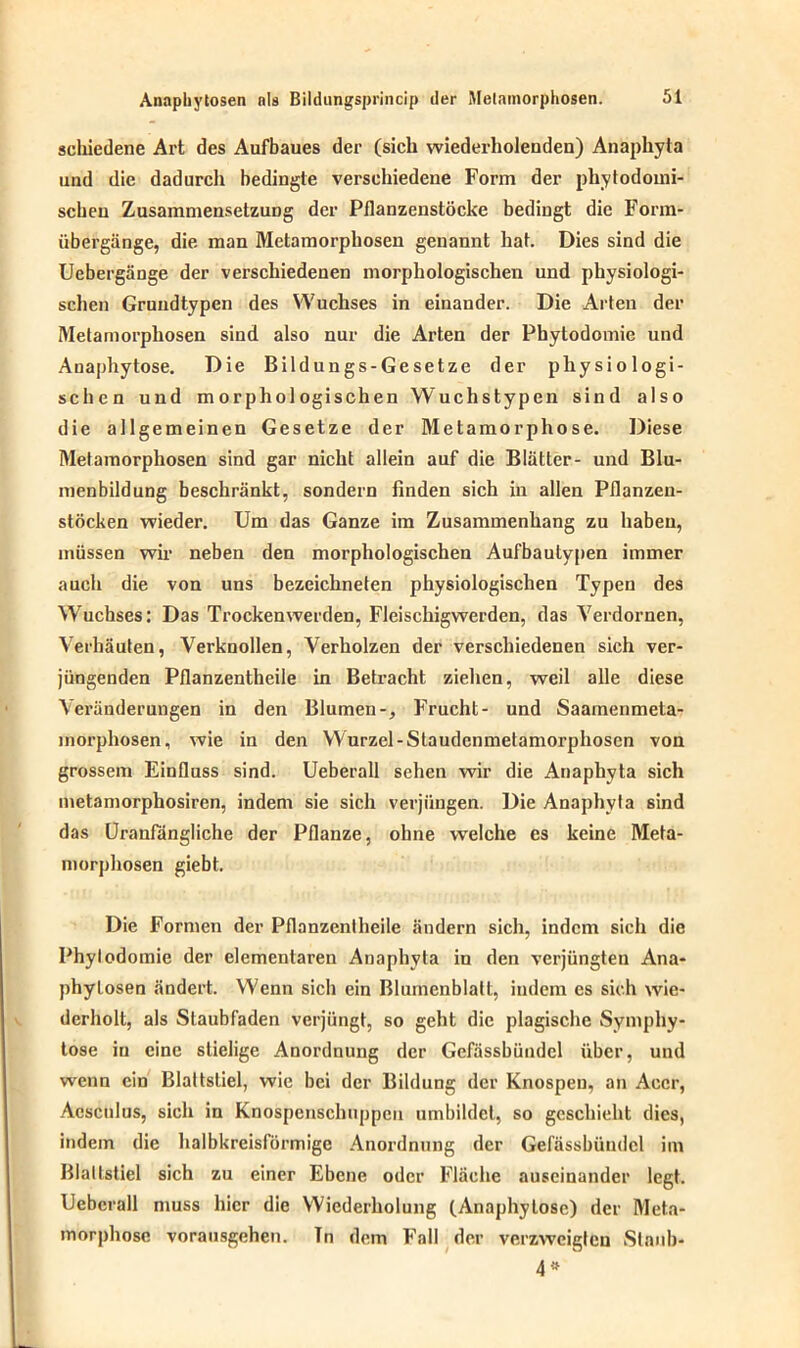 scliiedene Art des Aufbaues der (sich wiederholenden) Anaphyta und die dadurcli bedingte versehiedene Form der phytodomi- scbeu Zusammensetzung der Pflanzenstöcke bediugt die Form- übergänge, die man Metamorphosen genannt hat. Dies sind die Uebergänge der verschiedenen morphologischen und physiologi- schen Gruudtypen des Wuchses in einander. Die Arten der Metamorphosen sind also nur die Arten der Phytodomie und Anaphytose. Die Bildungs-Gesetze der physiologi- schen und morphologischen Wuchstypen sind also die allgemeinen Gesetze der Metamorphose. Diese Metamorphosen sind gar nicht allein auf die Blätter- und Blu- menbildung beschränkt, sondern finden sich in allen Pflanzen- stöcken wieder. Um das Ganze im Zusammenhang zu haben, müssen wir neben den morphologischen Aufbautypen immer auch die von uns bezeichneten physiologischen Typen des Wuchses: Das Trockenwerden, Fleischigwerden, das Verdornen, Verbäuten, Verknollen, Verholzen der verschiedenen sich ver- jüngenden Pflanzentheile in Betracht ziehen, weil alle diese Veränderungen in den Blumen-, Frucht- und Saamenmela- inorphosen, wie in den Wurzel-Staudenmetamorphosen von grossem Einfluss sind. Ueberall sehen wir die Anaphyta sich metamorphosiren, indem sie sich verjüngen. Die Anaphyta sind das Urantangliche der Pflanze, ohne welche es keine Meta- morphosen giebt. Die Formen der Pflanzentheile ändern sich, indem sich die Phytodomie der elementaren Anaphyta in den verjüngten Ana- phylosen ändert. Wenn sich ein Blumenblatt, indem es sich wie- derholt, als Staubfaden verjüngt, so geht die plagische Symphy- tose in eine stielige Anordnung der Gefässbüudel über, und wenn ein Blattstiel, wie bei der Bildung der Knospen, an Acer, Aesculus, sich in Knospenschuppcii umbildet, so geschieht dies, indem die halbkreisförmige Anordnung der Gelässbündcl im Blattstiel sich zu einer Ebene oder Fläche auseinander legt. Ueberall muss hier die Wiederholung (Anaphytose) der Meta- morphose vorausgehen. Tn dem Fall der verzweigten Staub- 4*