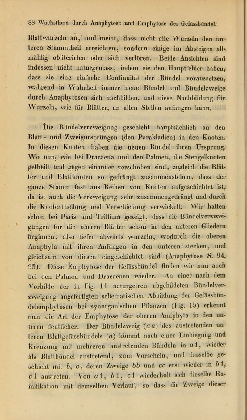 Blaltwurzeln an, und meint, dass nicht alle Wurzeln den un- teren Staramtheil erreichten, sondern einige im Absteigen all- mählig obliterirten oder sich verlören. Beide Ansichten sind indessen nicht nalurgemäss, indem sie den Hauptfehler haben, dass sie eine einfache Conlinuilät der Bündel voraussetzen« während in Wahrheit immer neue Bündel und Bündelzweige durch Anaphy tosen sich nachbilden, und diese Nachbildung für W urzeln, wie für Blätter, an allen Stellen anfaugen kann« Die Büudelverzweigung geschieht hauptsächlich an den Blatt - und Zweigursprüngen (den Parakladien) in den Knoten. In diesen Knoten haben die neuen Bündel ihren Ursprung. Wo nun, wie bei Dracaena und den Palmen, die Stengelknoten gethtill ünd gegeü einander verschoben sind, zugleich die Blät- ter und Blatlknoten so gedrängt zusammenstehen, dass der ganze Stamm fast aus Reihen von Knoten aufgeschichtet ist, da ist auch die Verzweigung sehr zusammengedrängt und durch die Knotentheilurig und Verschiebung verwickelt. Wir halten schon bei Paris und Trillium gezeigt, dass die Biindelverzwei- güngen für die oberen Blätter schon in den unteren Gliedern beginnen, also tiefer abwärts wurzeln, wodurch die oberen Anaphyta mit ihren Anfängen in den unteren stecken, und gleichsam von diesen eingeschichtet sind (Anaphylose S. 94, 95). Diese Emphytose der Gefässbünrlel finden wir nun auch bei den Palmen und Dracaencn wieder. An einer nach dem Vorbilde der in Fig. 14 naturgetreu abgebildeten Bündelver- zweigung angefertigten schematischen Abbildung der Gefässbün- delemphytosen bei synorganiscllen Pflanzen (Fig. 15) erkennt man die Art der Emphytose der obei'cn Anaphyta in den un- teren deutlicher. Der Biindclzweig (flO) des austretendeu un- teren Blattgefässbiindels (fl) kömmt nach einer Einbiegung und Kreuzung mit mehreren auslretcudcn Bündeln in a 1, wieder als Blattböndel austretend, zum Vorschein, und dasselbe ge- schieht mit bi, c, deren Zweige bb und cc erst wieder in b 1, cl auslretcu. Von ci 1, bl, cl wiederholt sich dieselbe Ra- ttiilikation mit demselben Verlauf, so dass die Zweige dieser