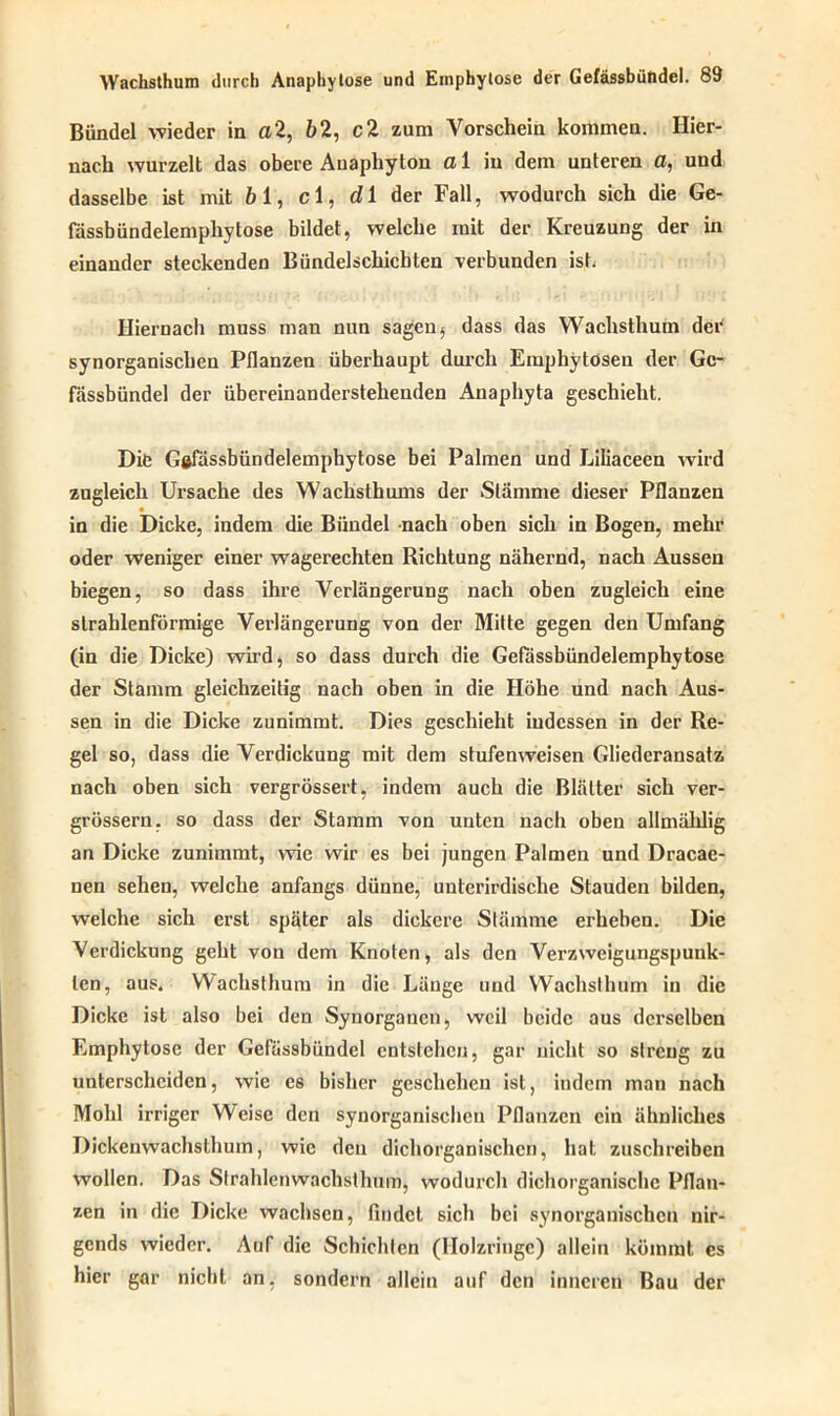 Bündel wieder in a2, 6 2, c2 zum Vorschein kommen. Hier- nach wurzelt das obere Auaphyton a 1 in dem unteren a, und dasselbe ist mit 61, cl, di der Fall, wodurch sich die Ge- fässbündelemphytose bildet, welche mit der Kreuzung der in einander steckenden Bündelschichten verbunden ish Hiernach muss man nun sagen$ dass das Wachsthum der synorganischen Pflanzen überhaupt durch Emphytösen der Gc- fässbündel der übereinanderstehenden Anaphyta geschieht. Die G§fässbündelemphytose bei Palmen und Liliaceen wird zugleich Ursache des Wachsthums der Stämme dieser Pflanzen in die Dicke, indem die Bündel nach oben sich in Bogen, mehr oder weniger einer wagerechten Richtung nähernd, nach Aussen biegen, so dass ihre Verlängerung nach oben zugleich eine strahlenförmige Verlängerung von der Mitte gegen den Umfang (in die Dicke) wird, so dass durch die Gefässbündelemphytose der Stamm gleichzeitig nach oben in die Höhe und nach Aus- sen in die Dicke zunimmt. Dies geschieht indessen in der Re- gel so, dass die Verdickung mit dem stufenweisen Gliederansatz nach oben sich vergrössert, indem auch die Blätter sich ver- grösseru. so dass der Stamm von unten nach oben allmälilig an Dicke zunimmt, wie wir es bei jungen Palmen und Dracae- nen sehen, welche anfangs dünne, unterirdische Stauden bilden, welche sich erst später als dickere Stämme erheben. Die Verdickung geht von dem Knoten, als den Verzweigungspunk- len, aus. Wachsthum in die Länge und Wachsthum in die Dicke ist also bei den Synorgancn, weil beide aus derselben Emphytose der Gefässbündel entstehen, gar nicht so streng zu unterscheiden, wie cs bisher geschehen ist, indem man nach Molil irriger Weise den synorganischen Pflanzen ein ähnliches Dickenwachsthum, wie den dichorganischcn, hat zuschreiben wollen. Das Sfrahlenwachsthum, wodurch dichorganischc Pflan- zen in die Dicke wachsen, findet sich bei synorganischen nir- gends wieder. Auf die Schichten (Holzringe) allein kömmt es hier gar nicht an, sondern allein auf den inneren Bau der