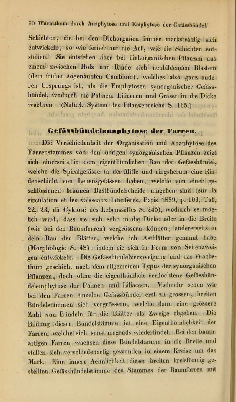 Schichten, die bei den Dichorganen immer markstrahlig sich entwickeln, so wie ferner auf die Art, wie die Schichten ent- stehen. Sie entstehen aber bei dichorganischeu Pflanzen aus einem zwischen IIolz und Rinde sich neubildenden Blastem (dem früher sogenannten Cambium), welches also ganz ande- ren Ursprungs ist, als die Emphytosen synorganischer Gefass- büiidel, wodurch die Palmen, Liliaceen und Gräser in die Dicke wachsen. (Natiirl. System des Pflanzenreichs S. 165.) Gefässbiinilelannpliytose der Farren. Die Verschiedenheit der Organisation und Anaphytose des Farrenstammes von den übrigen synorganischen Pflanzen zeigt sich einerseits in dem cigenthümlichen Bau der Gefässbündel, welche die Spiralgefässe in der Mitte und ringsherum eine Rin- denschicht von Lebensgefässen haben, welche von einer ge- schlossenen braunen Bastbündelscheide umgeben sind (sur la circulation et les väisseaux laticiferes, Paris 1839, p. 103, Tab, 22, 23, die Cyklose des Lebenssaftes S. 245), wodurch es mög- lich wird, dass sie sich sehr in die Dicke oder in die Breite (wie bei den Baumfarren) vergrössern können; andererseits in dem Bau der Blätter, welche ich Astblätter genannt habe (Morphologie S. 48), indem sie sich in Form von Seilenzwei- gen entwickeln. Die Gefässbiindelverzweigung und das Wachs- thum geschieht nach dem allgemeinen Typus der synorganischen Pflanzen, doch ohne die eigenlhümlich verflochtene Gefässbün- delemphytose der Palmen und Liliaceen. Vielmehr sehen wir bei den Farven einzelne Gefässbündel erst zu grosseu, breiten Bündelstämmen sich vergrössern, welche daun eine, grössere Zahl von Bündeln für die Blätter als Zweige abgeben. Die Bildung dieser Bündelstämme ist eine Eigenlhiimlichkeit der Farren, welche'sich sonst nirgends wiederfindel. Bei den baum- artigen Farren wachsen diese Bimdclslämmc in die Breite und stellen sich verschiedenartig gewunden in einem Kreise um das Mark. Eine innere Ähnlichkeit dieser breiten kreisförmig ge- stellten Gefässbündelstämme des Stammes der Baumfarren mit
