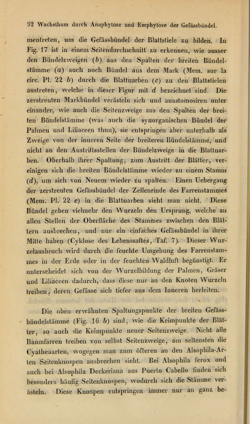 mentreten, um die Gefässbündel der Blattstiele zu bilden. In Fig. 17 ist in einem Seitendurchschnitt zu erkennen, wie ausser den Bündelzweigen (6) aus den Spalten der breiten ßündcl- stämme (a) auch noch Bündel aus dem Mark (Mem. sur la circ. PI. 22 b) durch die Blattnarben (c) zu den Blattstielen austreten, Welche in dieser Figur mit d bezeichnet sind Die zerstreuten Markbündel verästeln sich und anastomosiren unter einander, wie auch die Seitenzweige aus den Spalten der brei- ten ßündelstämme (was auch die synorganischen Bündel der Palmen und Liliaceen thun), sie entspringen aber unterhalb als Zweige von der inneren Seite der breiteren Bündelstämme, und nicht an den Austrittsstellen der Bündelzweige in die Blaltnar- ben. Oberhalb ihrer Spaltung, zum Austritt der Blätter, ver- einigen sich die breiten Bündelstämme wieder zu einem Stamm (d), um sich von Neuem wieder zu spalten. Einen Uebergang der zerstreuten Gefässbündel der Zellenrinde des Farrenstammes (Mem. PI. 22 e) in die Blattnarben sieht man nicht. Diese Bündel geben vielmehr den Wurzeln den Urspruug, welche au allen Stellen der Oberfläche des Stammes zwischen den Blät- tern ausbrecheu, und nur ein einfaches Gefässbündel in ihrer Mitte haben (Cyklosc des Lebenssaftes, Taf. 7). Dieser Wur- zelausbruch wird durch die feuchte Umgebung des Farrenstam- mes in der Erde oder in der feuchten Waldluft begünstigt. Er unterscheidet sich von der Wurzelbildung der Palmen, Gräser und Liliaceen dadurch, dass diese uur an den Knoten \\ urzcln treiben, deren Gcfässe sich tiefer aus dem Inneren herleitcn. Die oben erwähnten Spallungspunktc der breiten Gefass- bündelstämme (Fig. 16 b) sind, wie die Keirnpuukle der Blät- ter, so auch die Kelmpunkle neuer Seitenzweige. Nicht alle Baumfarren treiben von selbst Seitenzweige, am seltensten die Cyalhcaarten, wogegen mau zum öfteren an den Alsophila-Ar- ten Seitenknospen ausbrcchcn sicht. Bei Alsophila ferox und auch bei Alsophila Deckeriana aus Puerto Cabello finden sich besonders häufig Seitenknospen, wodurch sich die Stämme ver- ästeln. Diese Knospen entspringen immer nur an ganz bc-