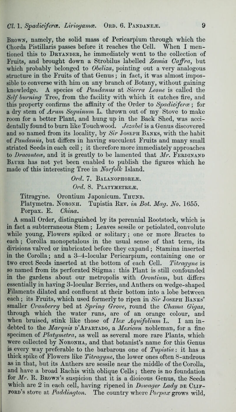 Brown, namely, the solid mass of Pericarpium through which the Chorda Pistillaris passes before it reaches the Cell. When I men- tioned this to Dryander, he immediately went to the collection of Fruits, and brought down a Strobilus labelled Zamia Caffrn, but which probably belonged to Obeliza, pointing out a very analogous structure in the Fruits of that Genus; in fact, it was almost impos- sible to converse with him on any branch of Botany, without gaining knowledge. A species of Pandanus at Sierra Leone is called the Self burning Tree, from the facility with which it catches fire, and this property confirms the affinity of the Order to Sjpadiciferce; for a dry stem of Arum Seguinum L. thrown out of my Stove to make room for a better Plant, and hung up in the Back Shed, was acci- dentally found to burn like Touchwood. Jezabel is a Genus discovered and so named from its locality, by Sir Joseph Banks, with the habit of Pandanus, but differs in having succulent Fruits and many small striated Seeds in each cell; it therefore more immediately approaches to Dracontece, and it is greatly to be lamented that Mr. Ferdinand Bauer has not yet been enabled to publish the figures which he made of this interesting Tree in Norfolk Island. Ord. 7. Balanophork®. Ord. 8. Platymetreh:. Titragyne. Orontium Japonicum. Thunb. Platymetra. Noronh. Tupistia Rev. in Bot. Mag. No. 1655. Porpax. E. China. A small Order, distinguished by its perennial Rootstock, which is in fact a subterraneous Stem; Leaves sessile or petiolated, convolute while young, Flowers spiked or solitary; one or more Bractes to each; Corolla monopetalous in the usual sense of that term, its divisions valved or imbricated before they expand; Stamina inserted in the Corolla; and a 3-4-locular Pericarpium, containing one or two erect Seeds inserted at the bottom of each Cell. Titragyne is so named from its perforated Stigma: this Plant is still confounded in the gardens about our metropolis with Orontium, but differs essentially in having 3-locular Berries, and Anthers on wedge-shaped Filaments dilated and confluent at their bottom into a lobe between each; its Fruits, which used formerly to ripen in Sir Joseph Banks’ smaller Cranberry bed at Spring Grove, round the Chama Gigas, through which the water runs, are of an orange colour, and when bruised, stink like those of Ilex Aquifolium L. I am in- debted to the Marquis d’Apartado, a Meocican nobleman, for a fine specimen of Platymetra, as well as several more rare Plants, which were collected by Noronha, and that botanist’s name for this Genus is every way preferable to the barbarous one of Tupistia: it has a thick spike of Flowers like Titragyne, the lower ones often 8-androus as in that, hut its Anthers are sessile near the middle of the Corolla, and have a broad Rachis with oblique Cells; there is no foundation for Mr. R. Brown’s suspicion that it is a dioicous Genus, the Seeds which are 2 in each cell, having ripened in Dowager Lady de Clif- ford’s stove at Paddington. The country where Porpax grows wild,