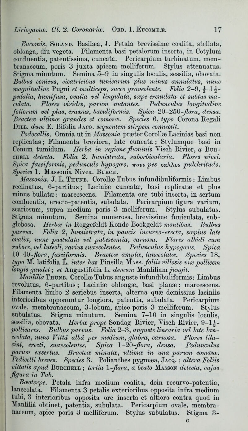 Eucomis, Soland. Basilaea, J. Petala brevissime coalita, stellata, oblonga, din vegeta. Eilamenta basi petalorum inserta, in Cotylum confluentia, patentissima, cuneata. Pericarpium turbinatum, mem- branaceum, poris 3 juxta apicem melliferum. Stylus attenuatus. Stigma minutum. Semina 5-9 in singulis loculis, sessilia, obovata. Bulhus conicus, cicatricibus tunicarum plus minus annulatus, nunc magnitudine Pugni et multiceps, succo graveolente. Folia 2—9, |-1|- pedalia, humifusa, ovalia vel lingulata, scepe crenulata et subtus ma- culata. Flores virides, parum nutantes. Pedunculus longitudine foliorum vel plus, crassus, baculiformis. Spica 20-250-fior a, densa. Bractece ultimce grandes et comosce. Species 6, typo Corona Regali Dill, dum E. Bifolia Jacq. sequentem stirpem connectit. Podocallis. Omnia ut in Massonia praeter Corollse Lacinias basi non replicatas; Filamenta breviora, late cuneata; Stylumque basi in Conum tumidum. Herba in regione fluminis Visch Rivier, a Bur- chell detecta. Folia 2, humistrata, suborbicularia. Flores nivei. Spica fasciformis, pedunculo Tiypogceo. ttovs pes kclWos pulchritudo. Species 1. Massonia Nivea. Burch. Massonia. J. L. Thunb. Corollse Tubus infundibuliformis: Limbus reclinatus, 6-partitus; Laciniae cuneatae, basi replicatae et plus minus bullatae: marcescens. Filamenta ore tubi inserta, in sertum confluentia, erecto-patentia, subulata. Pericarpium figura varium, scariosum, supra medium poris 3 melliferum. Stylus subulatus. Stigma minutum. Semina numerosa, brevissime funiculata, sub- globosa. Herboe in Roggefeldt Konde Bookgeldt montibus. Bulbus parvus. Folia 2, humistrata, in paucis incurvo-erecta, scppius late ovalia, nunc pustulata vel pubescentia, carnosa. Flores albidi cum rubore, vel luteoli, rarius suaveolentes. Pedunculus hypogaeus. Spica 10-40-flora, fasciformis. Bractece amplce, lanceolatce. Species 18, typo M. latifolia L. inter has Pinsilla Mass, foliis villosis vix pollicem longis gaudet; et Angustifolia L. demum Manliliam jungit. Manlilia Thunb. Corollae Tubus anguste infundibuliformis: Limbus revolutus, 6-partitus; Laciniae oblongae, basi planae: marcescens. Filamenta limbo 2 seriebus inserta, alterna quae demissius laciniis interioribus opponuntur longiora, patentia, subulata. Pericarpium ovale, membranaceum, 3-lobum, apice poris 3 melliferum. Stylus subulatus. Stigma minutum. Semina 7-10 in singulis loculis, sessilia, obovata. Herbce prope Sondag Rivier, Visch Rivier, 9-1 \- pollicares. Bulbus parvus. Folia 2-3, anguste linearia vel late lan- ceolata, nunc Vitta alba per medium, glabra, carnosa. Flores Ida— cini, erecti, suaveolentes. Spica 1-20-flora, densa. Pedunculus parum exsertus. Bractece minutce, ultimce in una parum comosce. Pedicelli breves. Species 3. Polianthes pygmaea, Jacq,. ; altera Foliis i vittatis apud Burchell ; tertia 1-flora, a beato Masson detecta, cujus figura in Tab. Baeoterpe. Petala infra medium coalita, dein recurvo-patentia, lanceolata. Filamenta 3 petalis exterioribus opposita infra medium tubi, 3 interioribus opposita ore inserta et altiora contra quod in Manlilia obtinet, patentia, subulata. Pericarpium ovale, membra- naceum, apice poris 3 melliferum. Stylus subulatus. Stigma 3- c