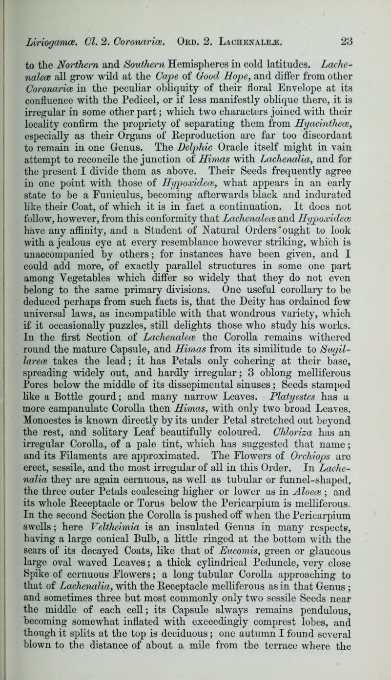 Liriogamce. Cl. 2. Coronaries. Ord. 2. Lachenale^e. 23 to the Northern and Southern Hemispheres in cold latitudes. Lache- nalece all grow wild at the Cajpe of Good Hope, and differ from other Coronaries in the peculiar obliquity of their floral Envelope at its confluence with the Pedicel, or if less manifestly oblique there, it is irregular in some other part; which two characters joined with their locality confirm the propriety of separating them from Hyacinthece, especially as their Organs of Reproduction are far too discordant to remain in one Genus. The Delphic Oracle itself might in vain attempt to reconcile the junction of Himas with Lachenalia, and for the present I divide them as above. Their Seeds frequently agree in one point with those of Hypoocidece, what appears in an early state to be a Funiculus, becoming afterwards black and indurated like their Coat, of which it is in fact a continuation. It does not follow, however, from this conformity that Lachenaleee and Hypoocidece have any affinity, and a Student of Natural Orders'ought to look with a jealous eye at every resemblance however striking, which is unaccompanied by others; for instances have been given, and I could add more, of exactly parallel structures in some one part among Vegetables which differ so widely that they do not even belong to the same primary divisions. One useful corollary to be deduced perhaps from such facts is, that the Deity has ordained few universal laws, as incompatible with that wondrous variety, which if it occasionally puzzles, still delights those who study his works. In the first Section of Lachenaleee the Corolla remains withered round the mature Capsule, and Himas from its similitude to Sugil- larece takes the lead; it has Petals only cohering at their base, spreading widely out, and hardly irregular; 3 oblong melliferous Pores below the middle of its dissepimental sinuses; Seeds stamped like a Bottle gourd; and many narrow Leaves. Platyestes has a more campanulate Corolla then Himas, with only two broad Leaves. Monoestes is known directly by its under Petal stretched out beyond the rest, and solitary Leaf beautifully coloured. Chloriza has an irregular Corolla, of a pale tint, which has suggested that name; and its Filaments are approximated. The Flowers of Orchiops are erect, sessile, and the most irregular of all in this Order. In Lache- nalia they are again cernuous, as well as tubular or funnel-shaped, the three outer Petals coalescing higher or lower as in Aloecs ; and its whole Receptacle or Torus below the Pericarpium is melliferous. In the second Section the Corolla is pushed off when the Pericarpium swells; here Veltheimia is an insulated Genus in many respects, having a large conical Bulb, a little ringed at the bottom with the scars of its decayed Coats, like that of Eucomis, green or glaucous large oval waved Leaves; a thick cylindrical Peduncle, very close Spike of cernuous Flowers; a long tubular Corolla approaching to that of Lachenalia, with the Receptacle melliferous as in that Genus ; and sometimes three but most commonly only two sessile Seeds near the middle of each cell; its Capsule always remains pendulous, becoming somewhat inflated with exceedingly comprest lobes, and though it splits at the top is deciduous; one autumn I found several blown to the distance of about a mile from the terrace where the